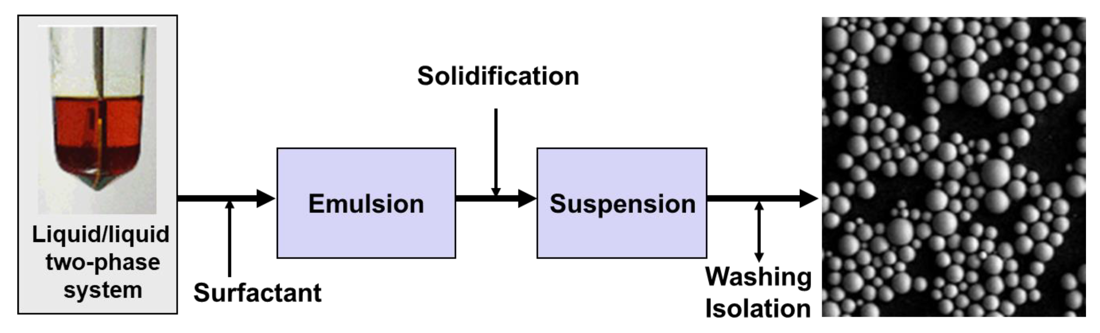 Polymers 14 04763 g007