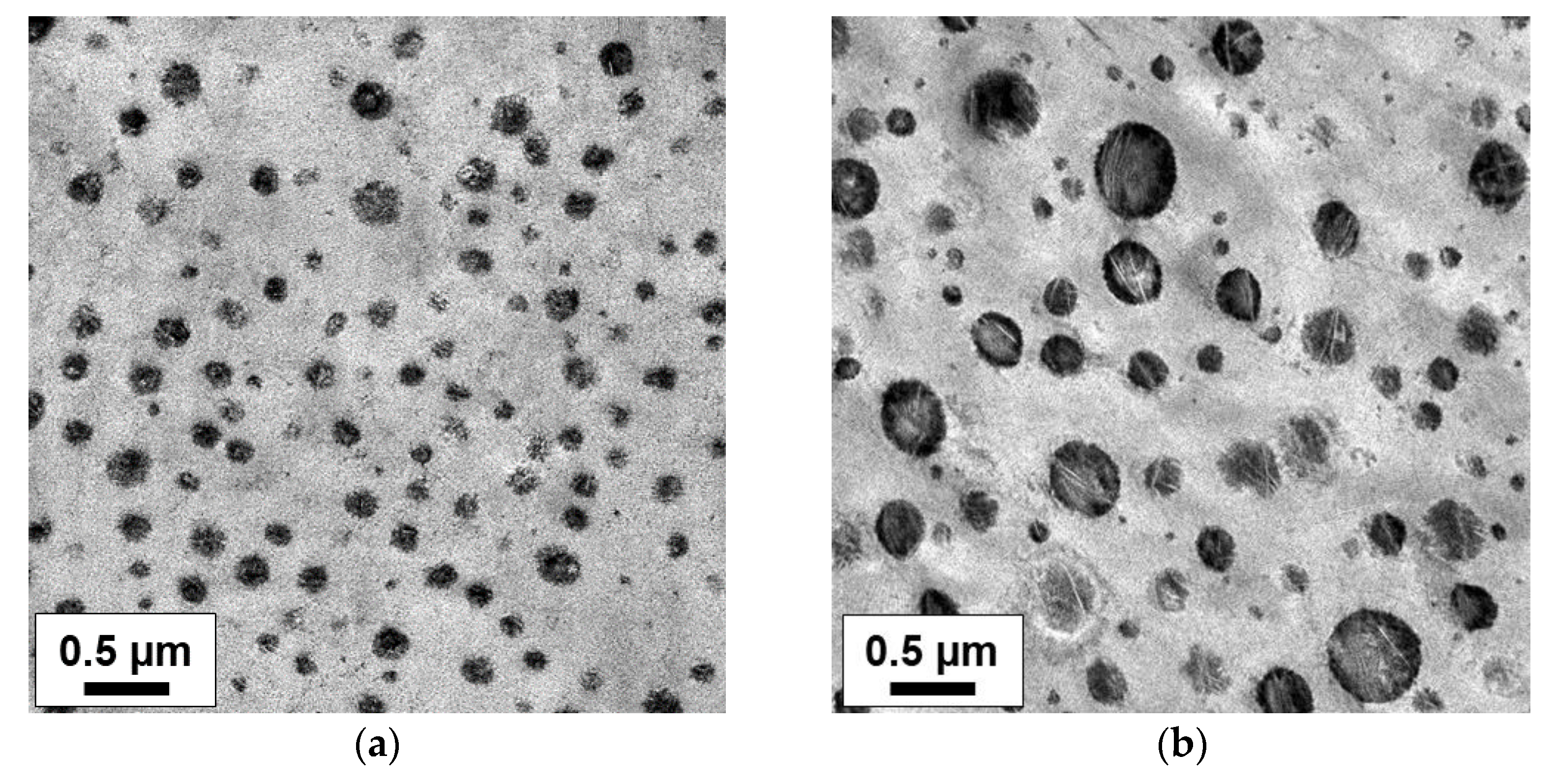 Polymers 14 04763 g011