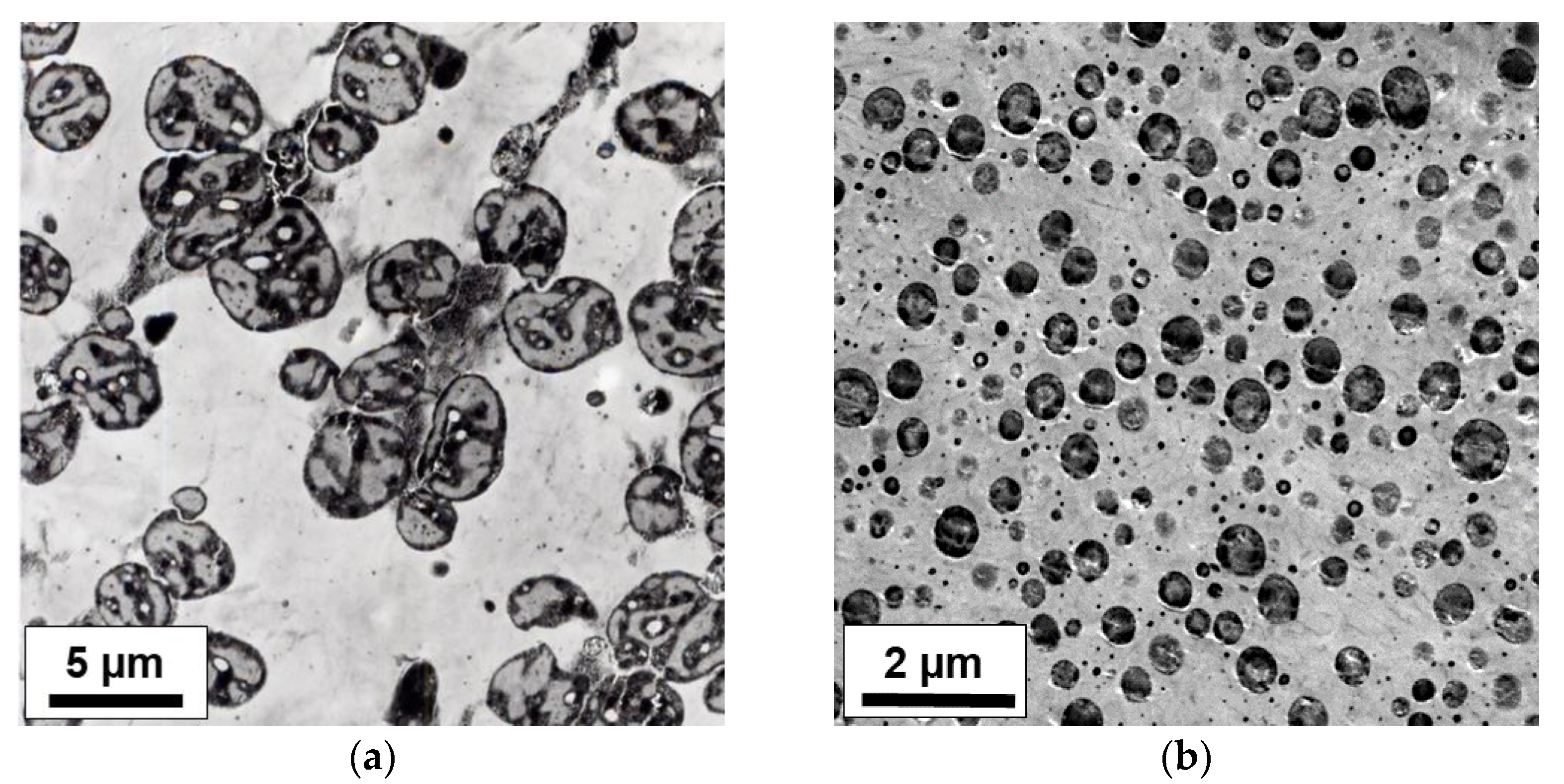 Polymers 14 04763 g012