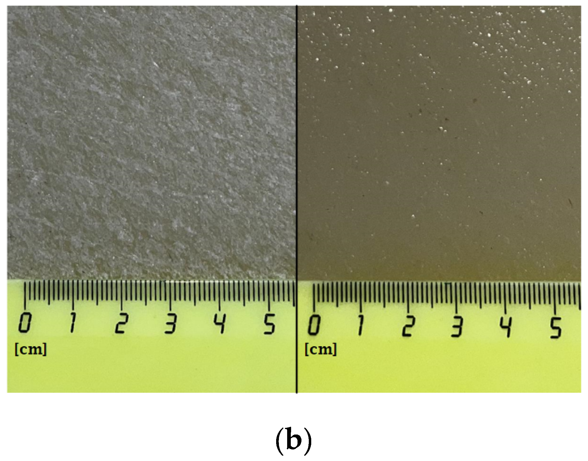 Polymers 14 04764 g004b