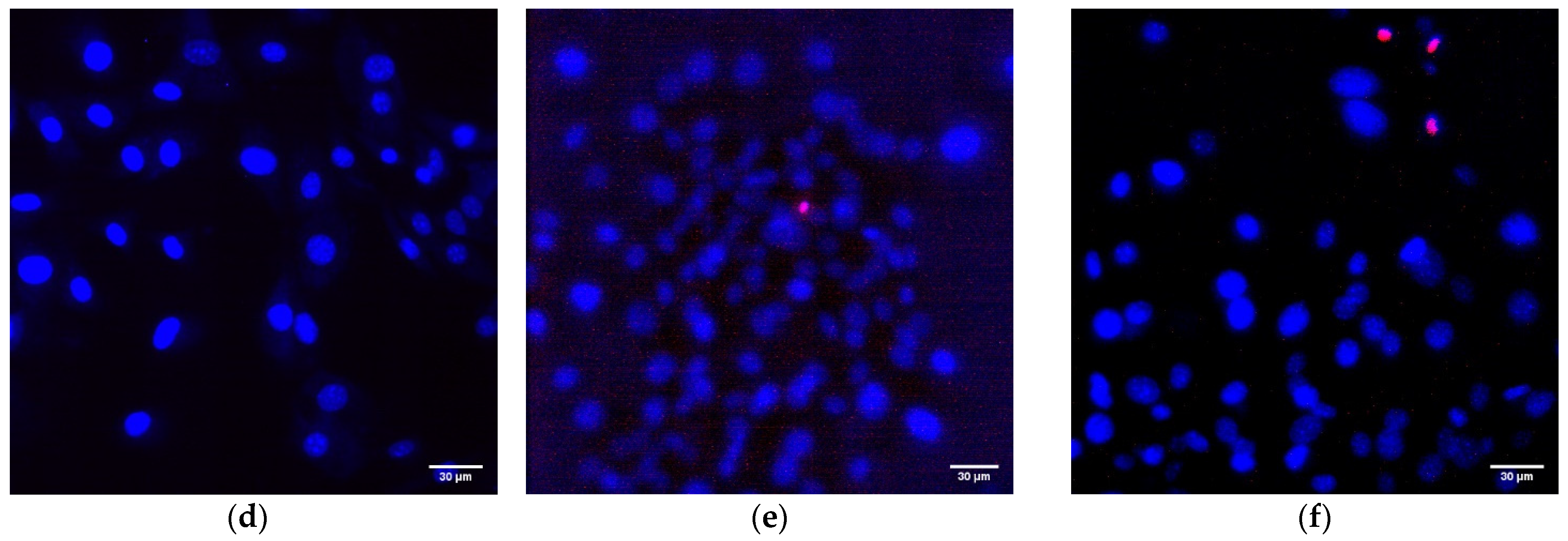 Polymers 14 04764 g009b