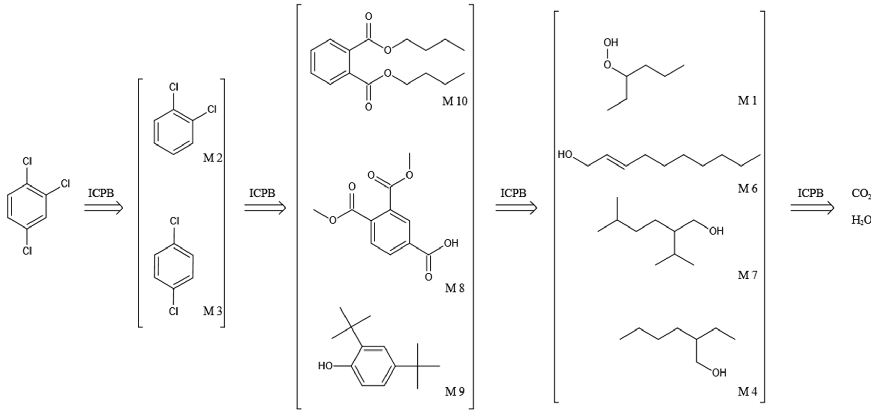 Polymers 14 04774 g008