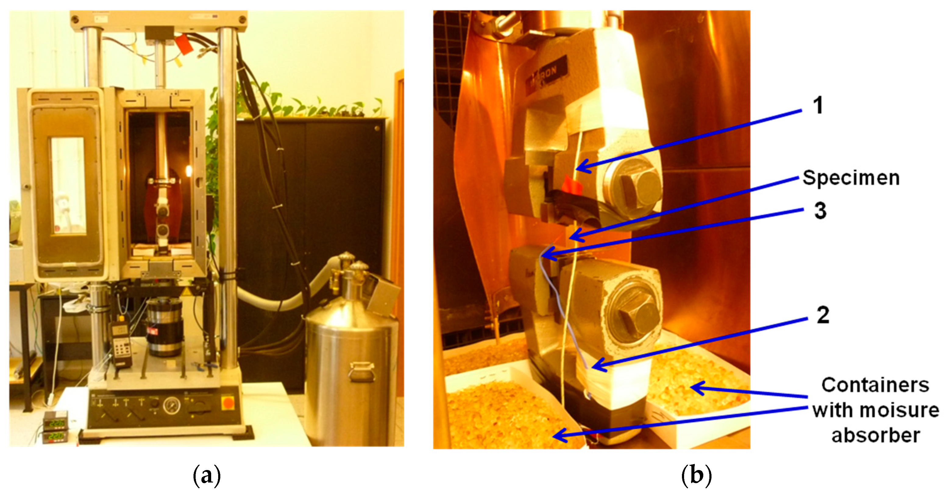 Polymers 14 04775 g002