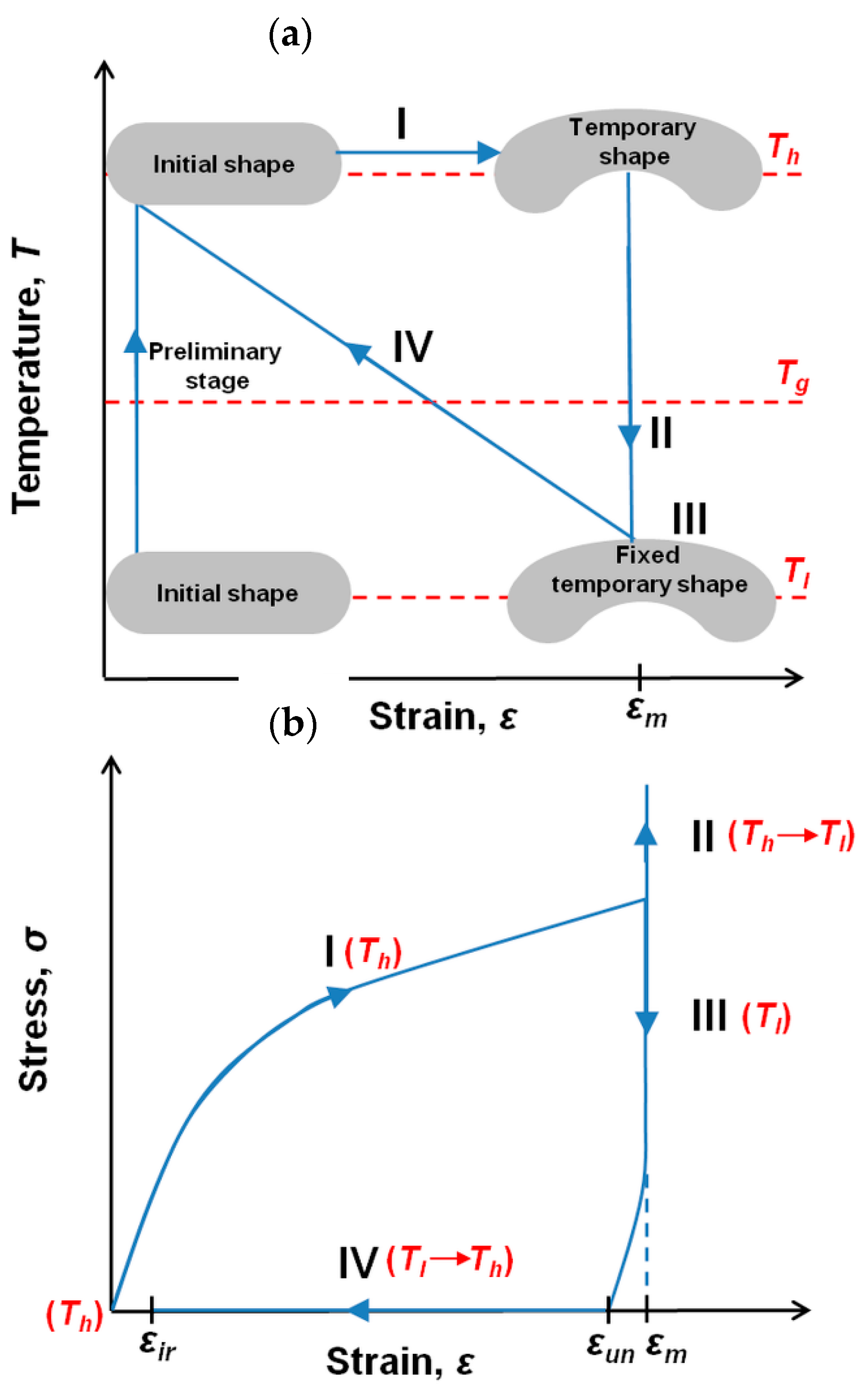Polymers 14 04775 g003