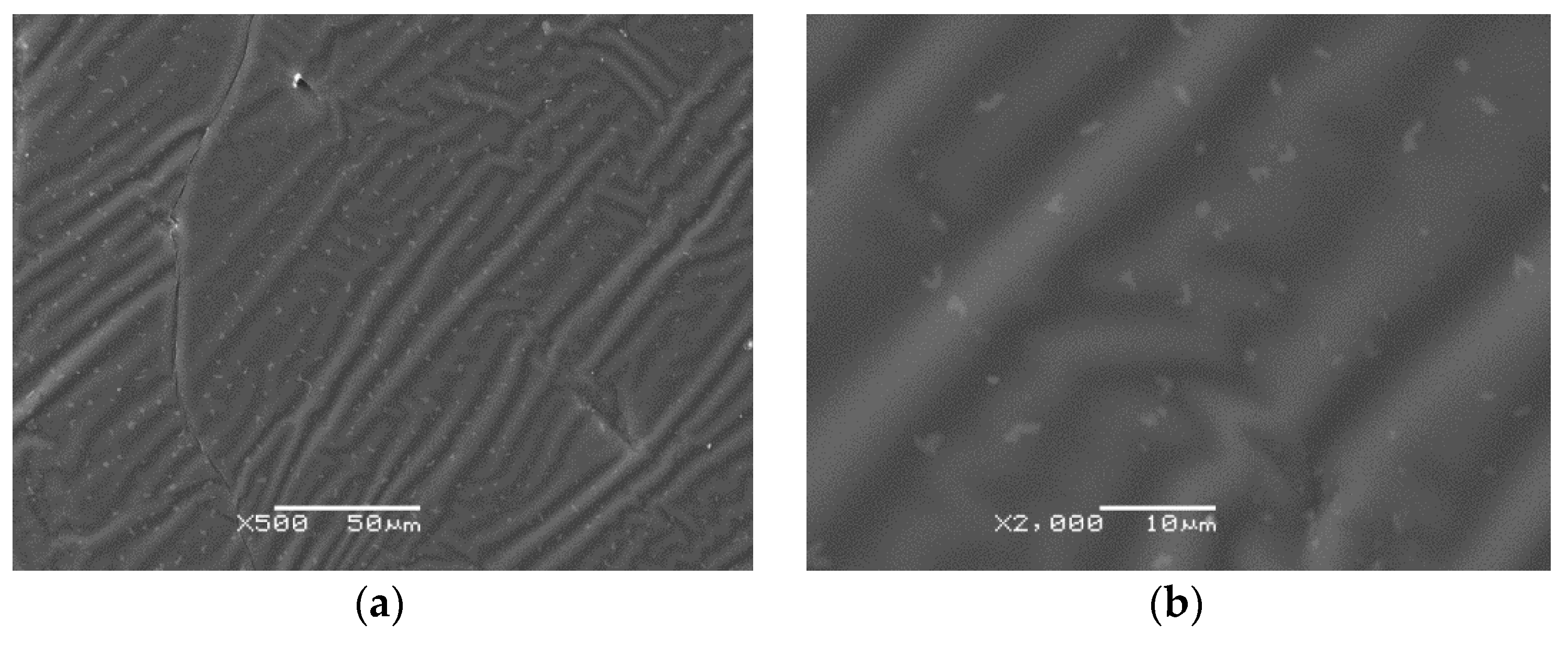 Polymers 14 04775 g006