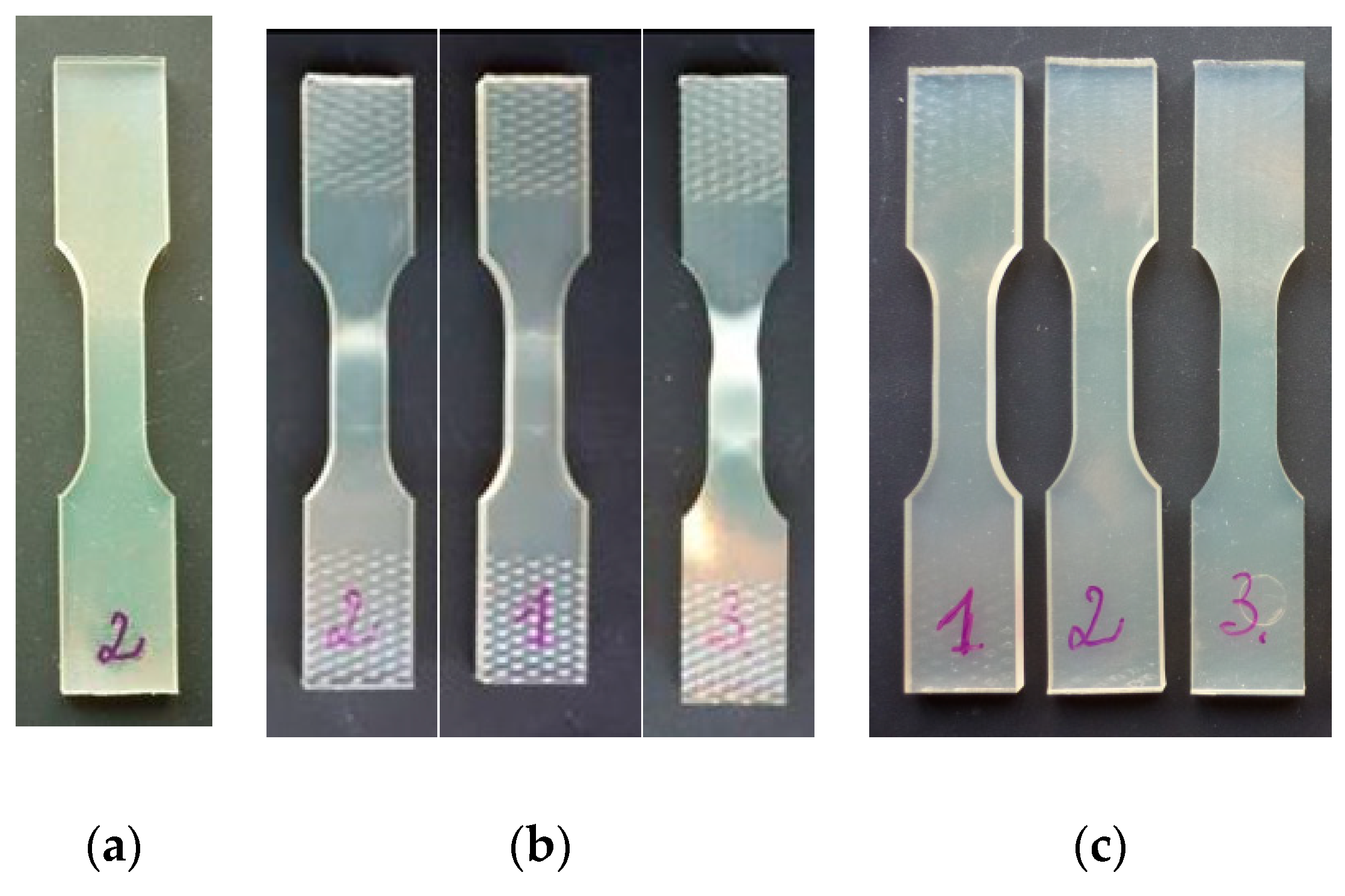 Polymers 14 04775 g008