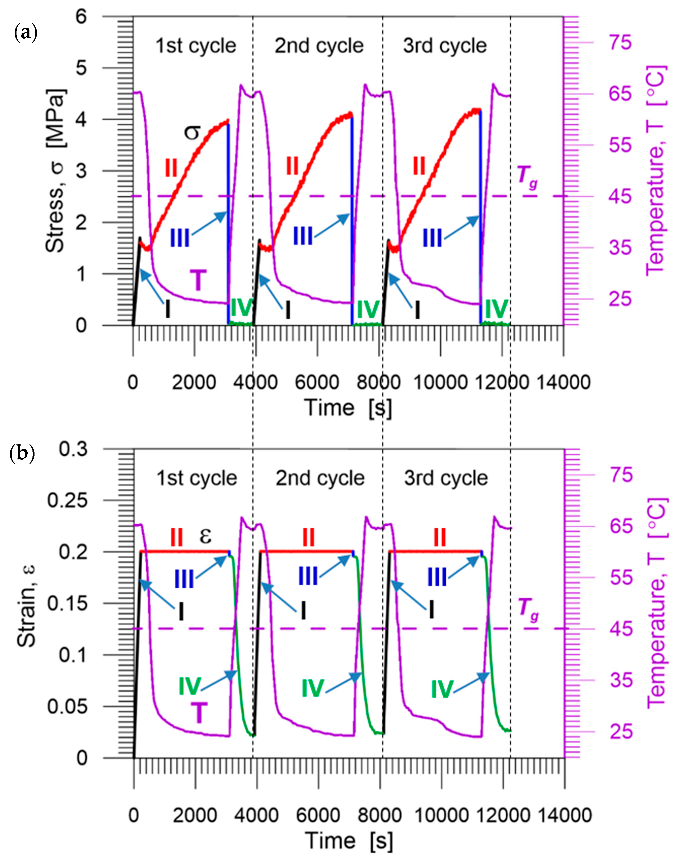 Polymers 14 04775 g012