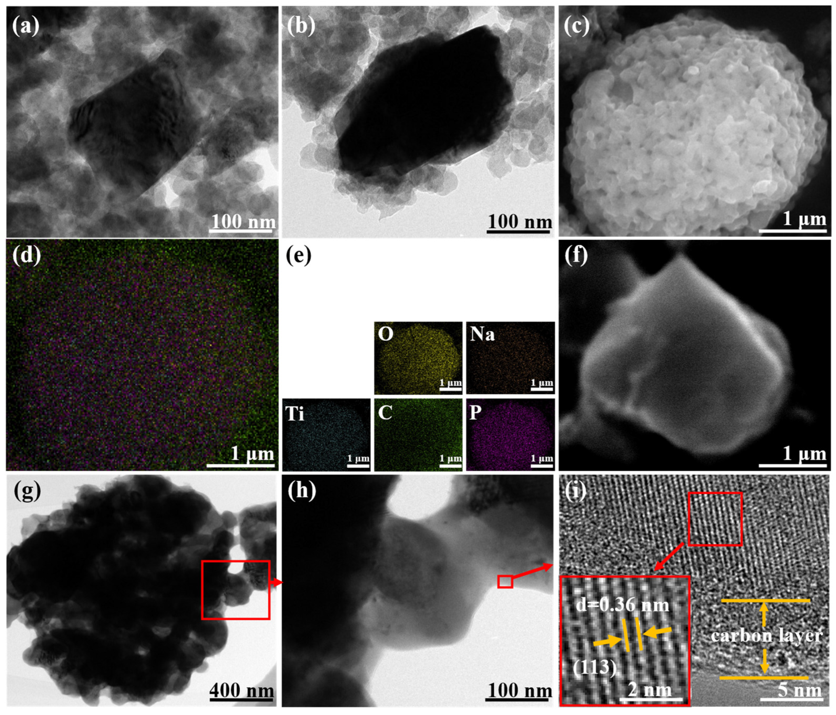 Polymers 14 04776 g001