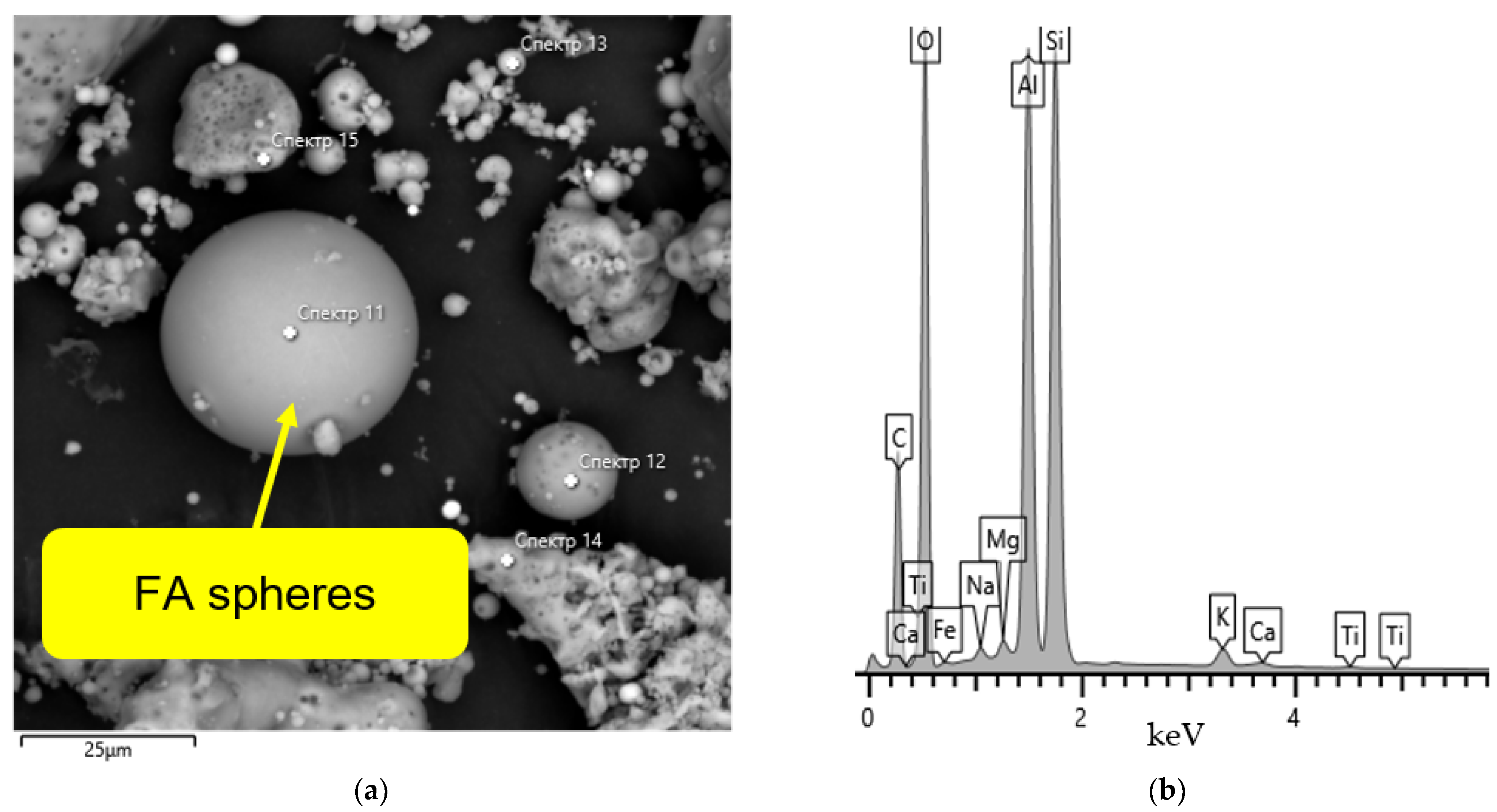 Polymers 14 04777 g002