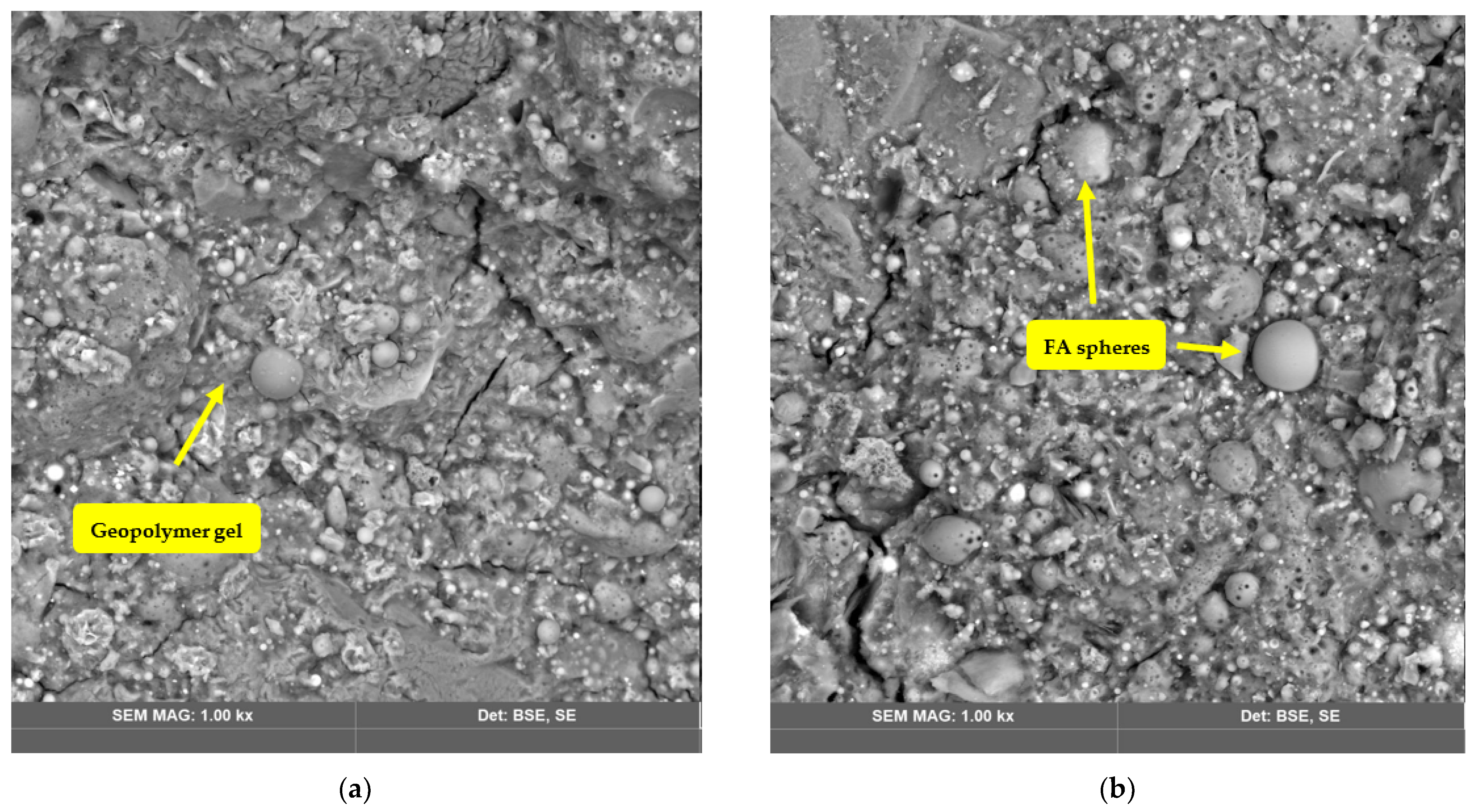 Polymers 14 04777 g004a