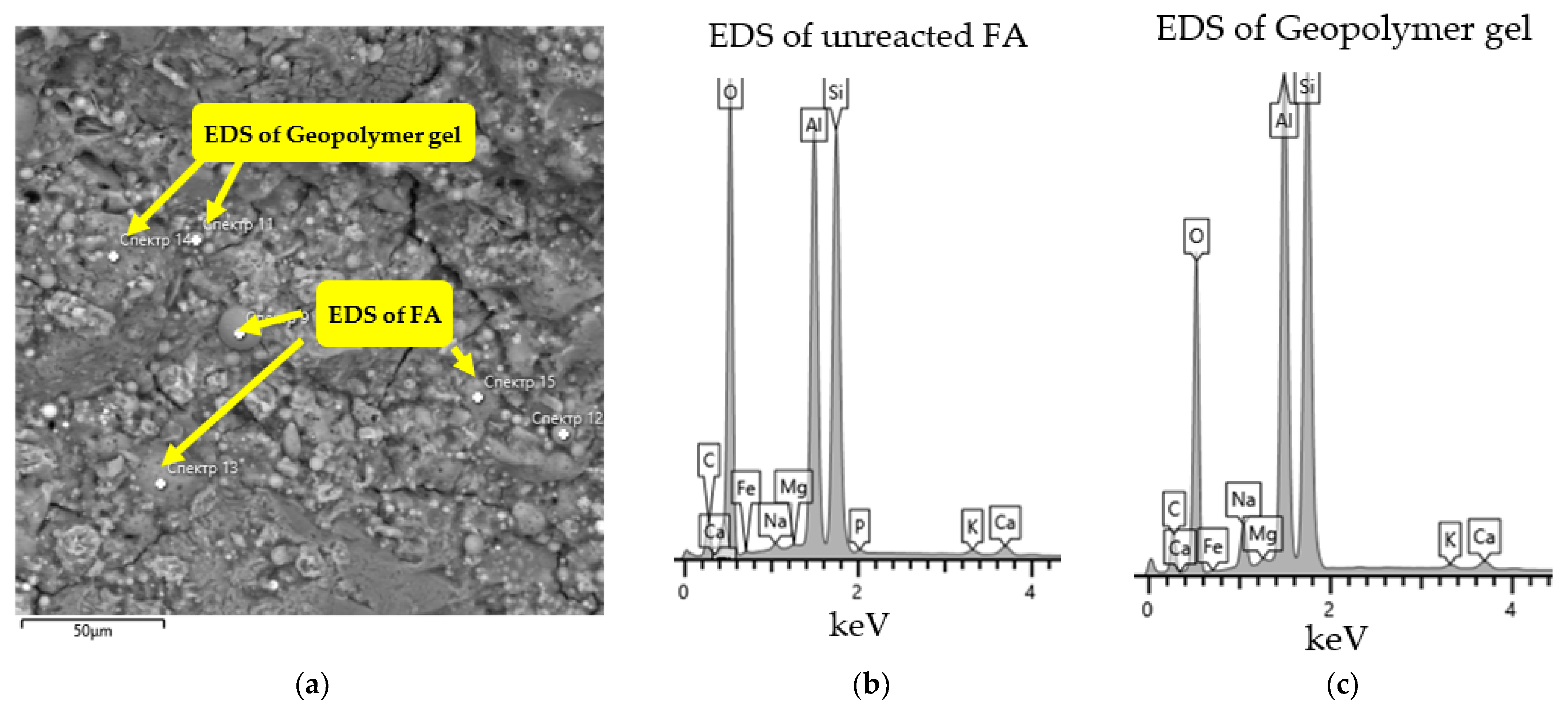Polymers 14 04777 g005