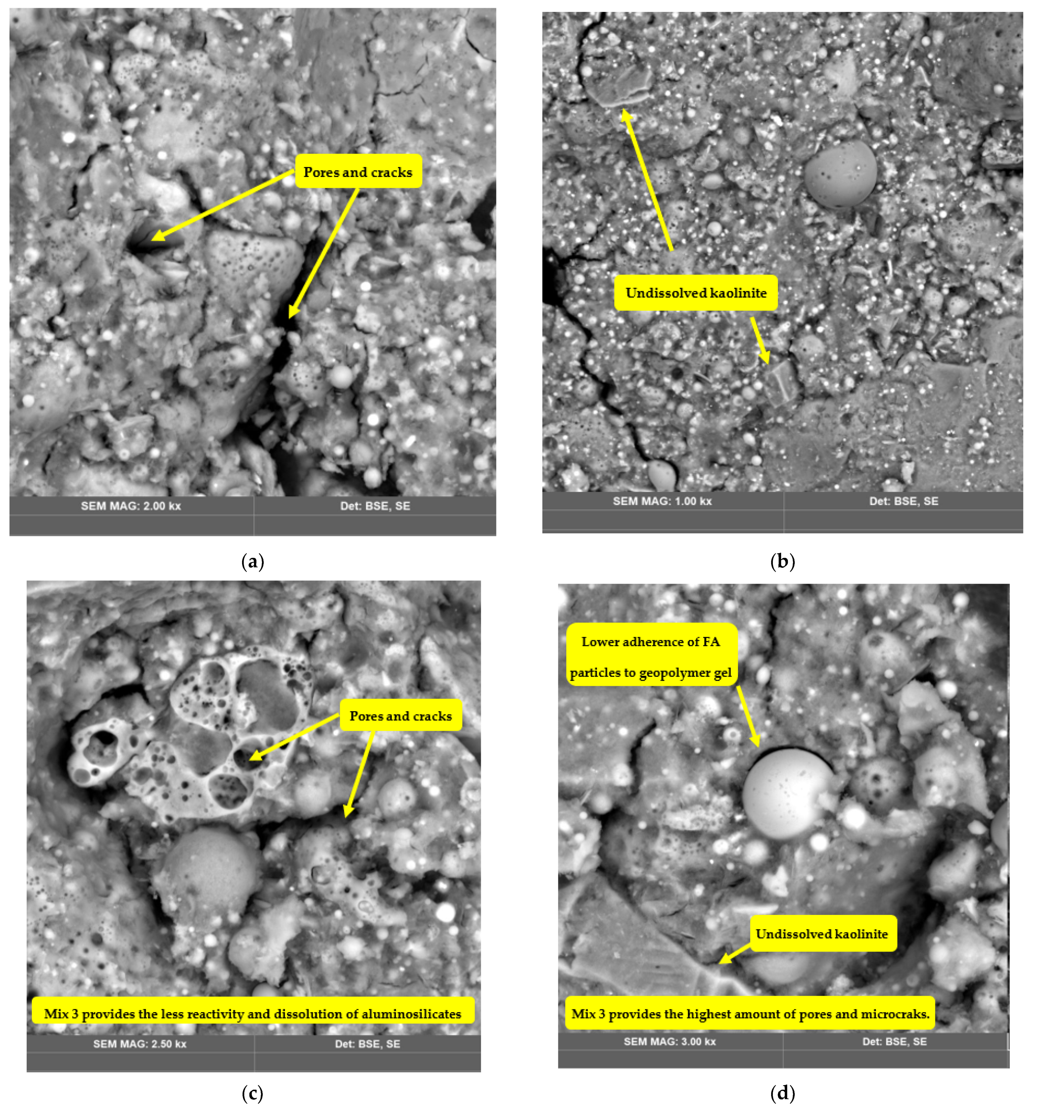 Polymers 14 04777 g007