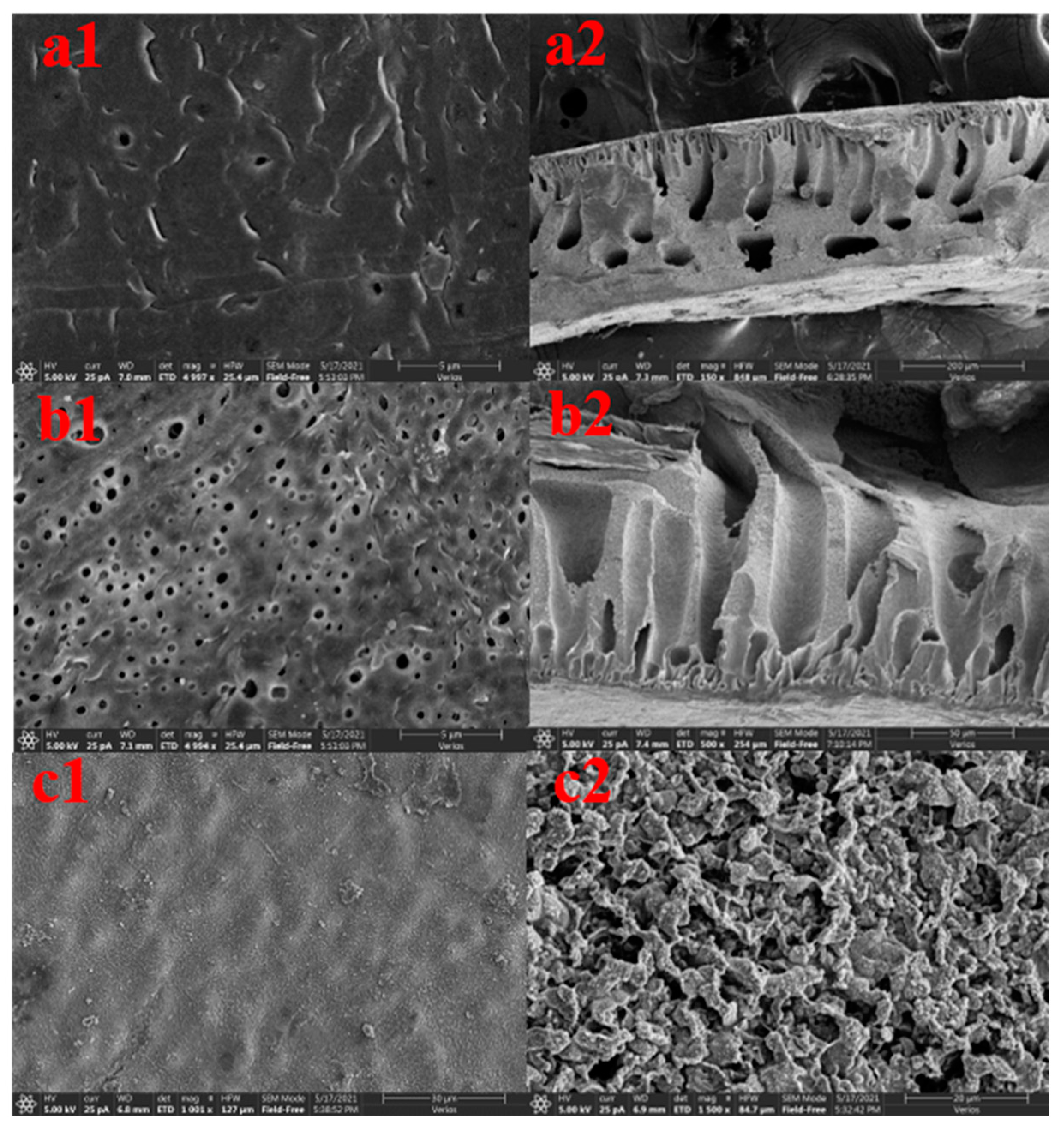 Polymers 14 04779 g002