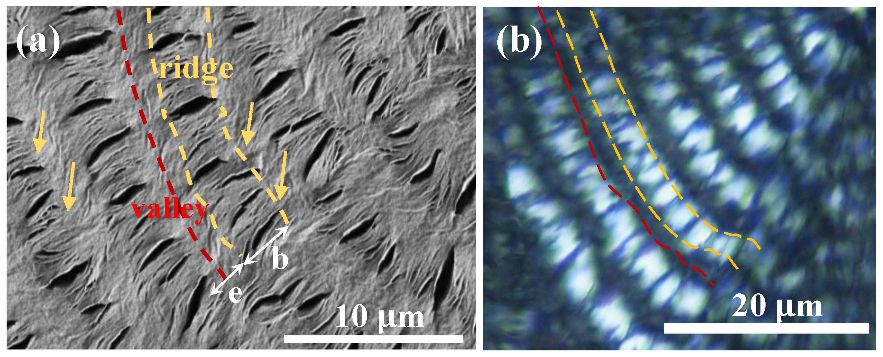 Polymers 14 04781 g003