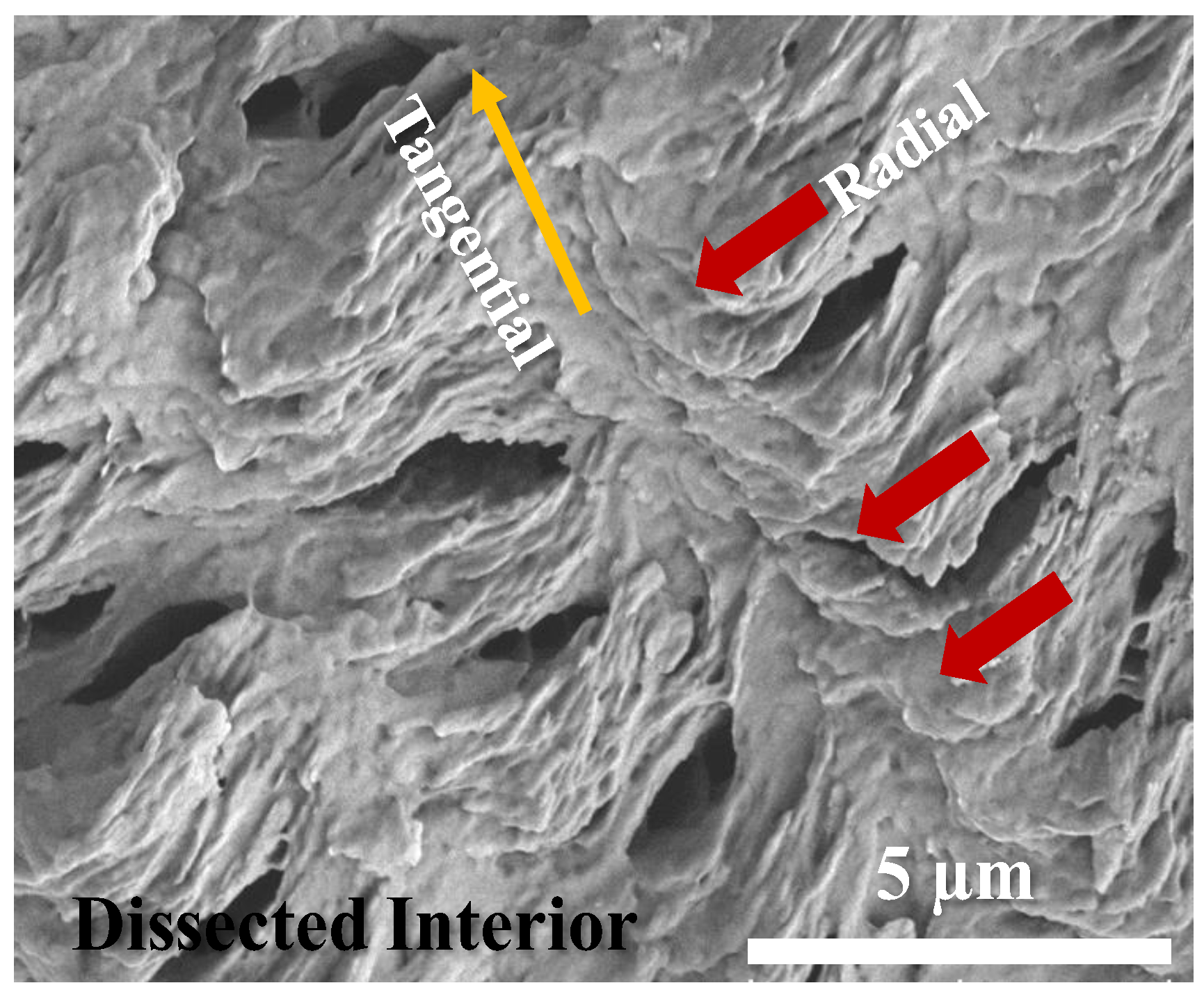 Polymers 14 04781 g007