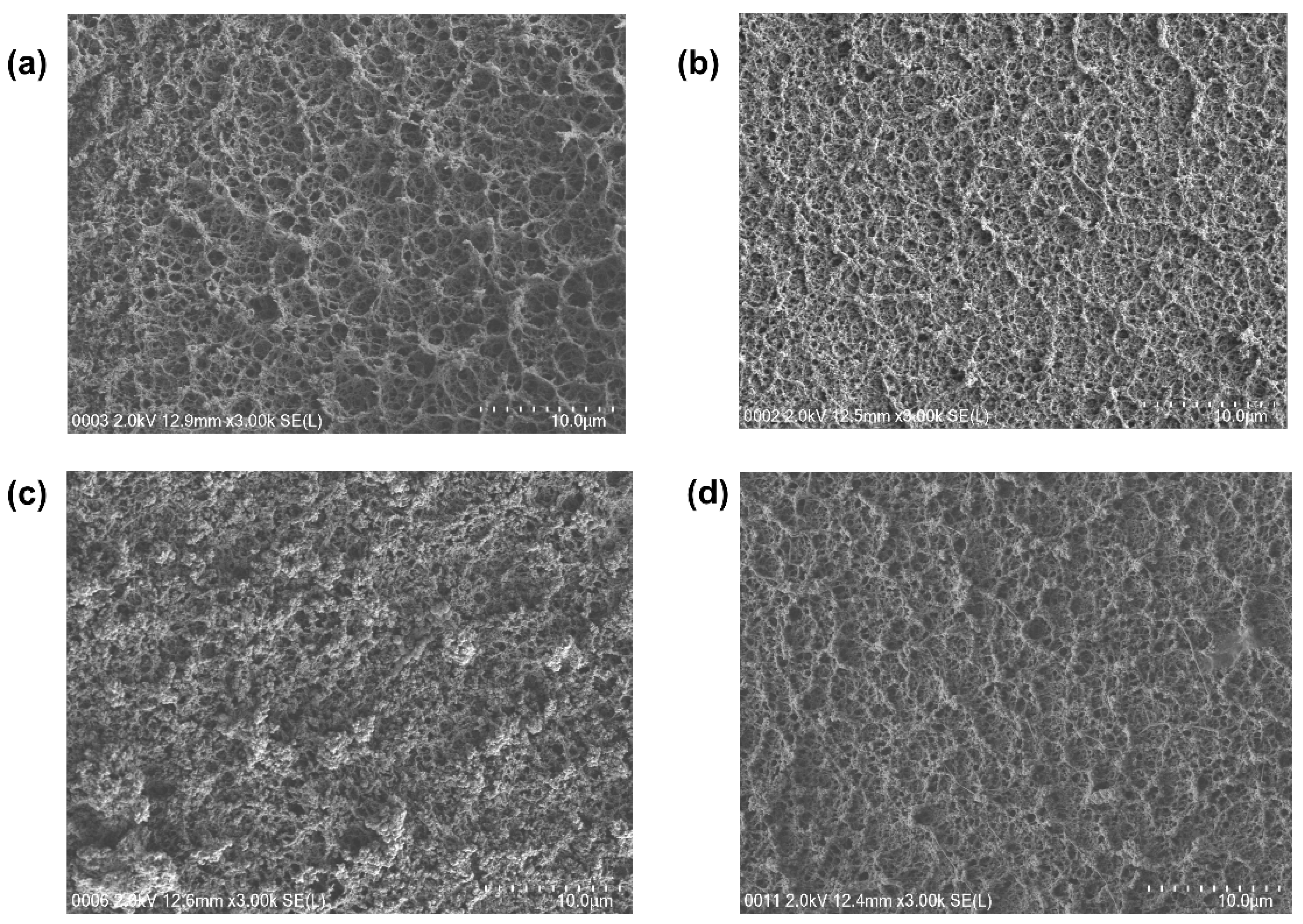 Polymers 14 04784 g007