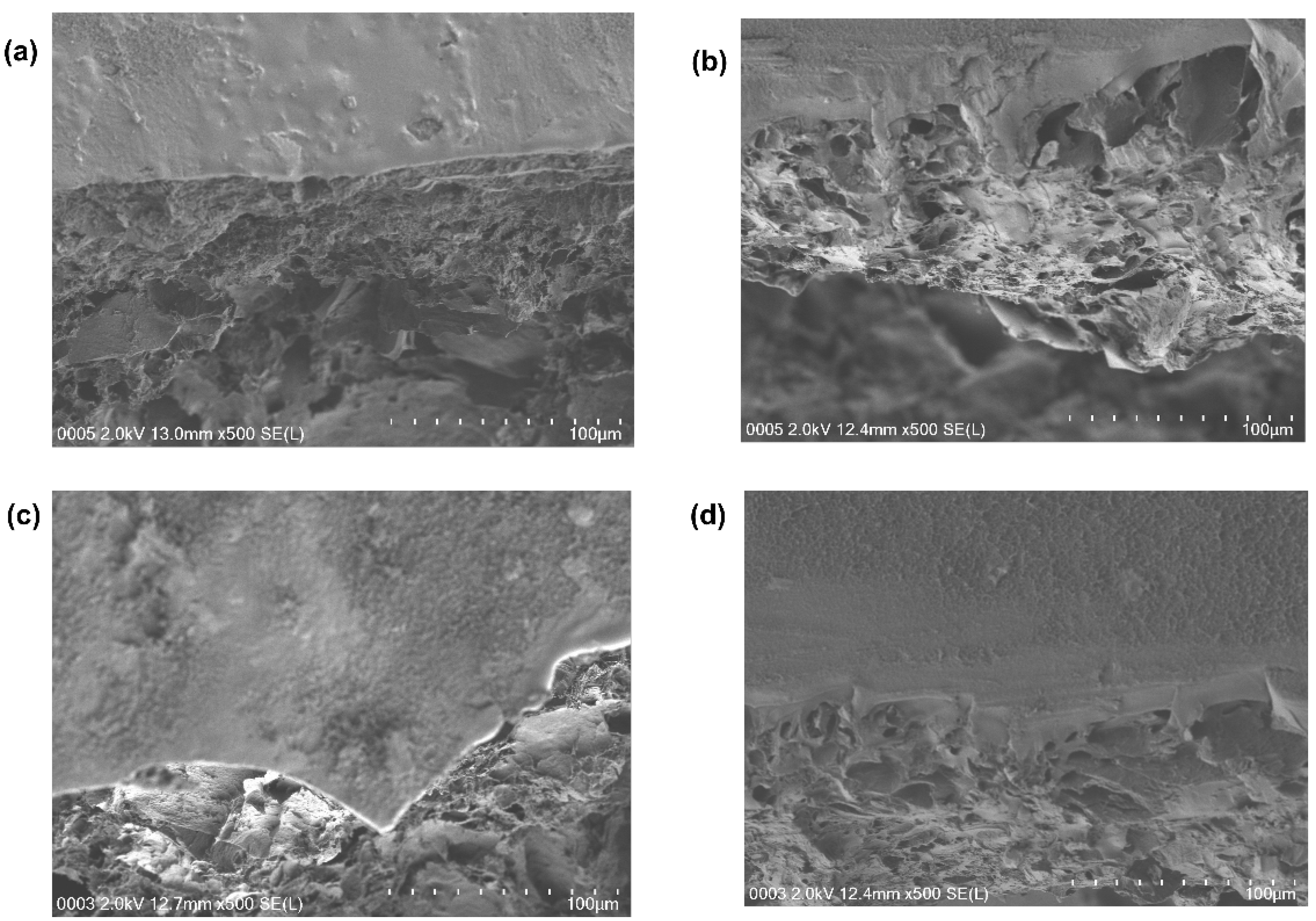 Polymers 14 04784 g008