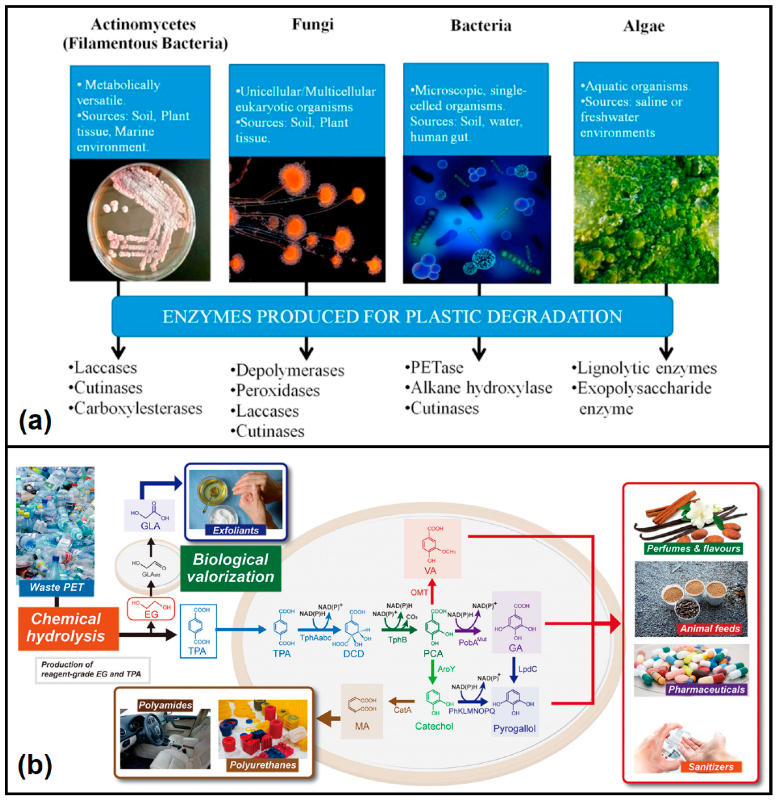 Polymers 14 04788 g006