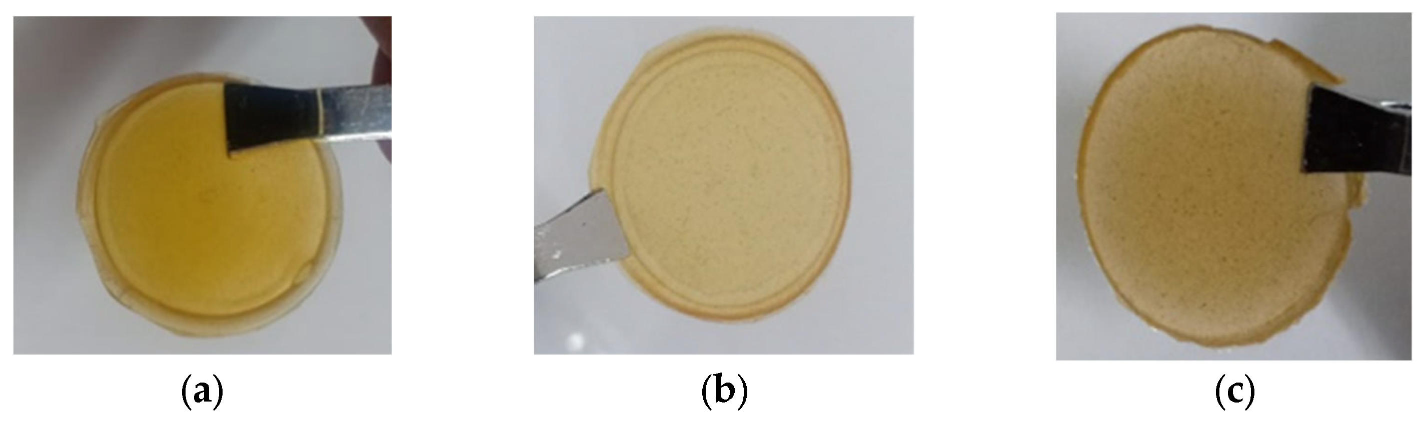 Polymers 14 04792 g002