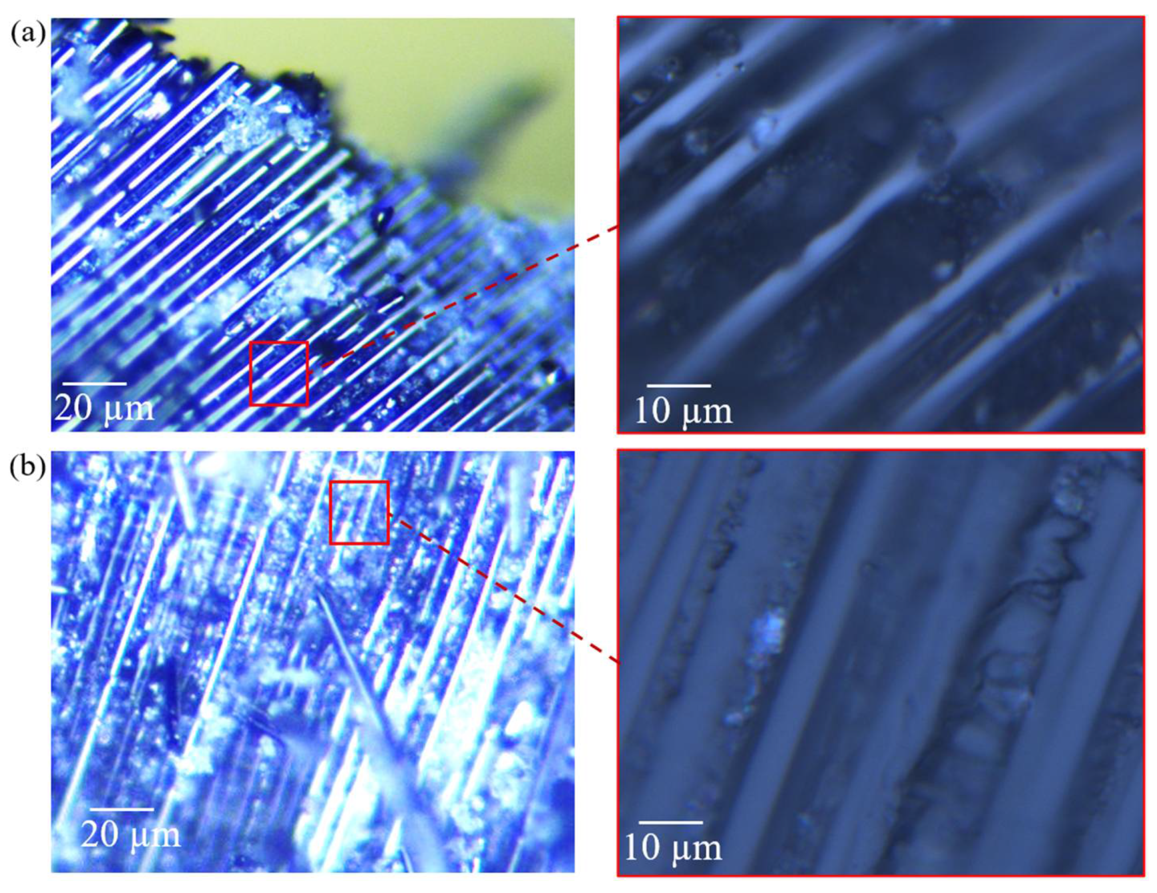 Polymers 14 04795 g004