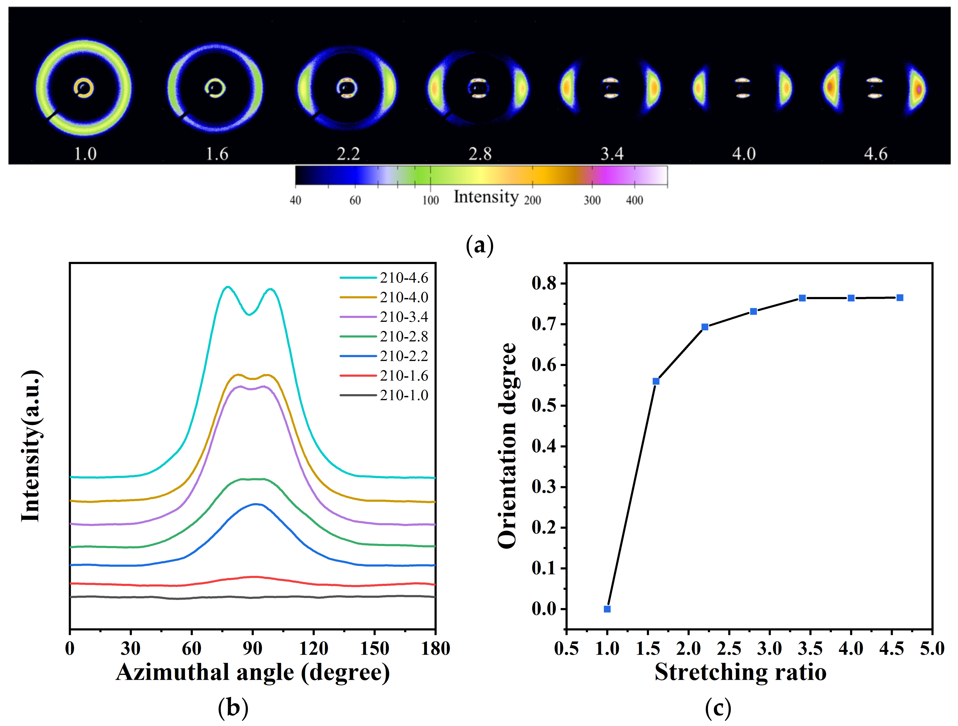 Polymers 14 04805 g005