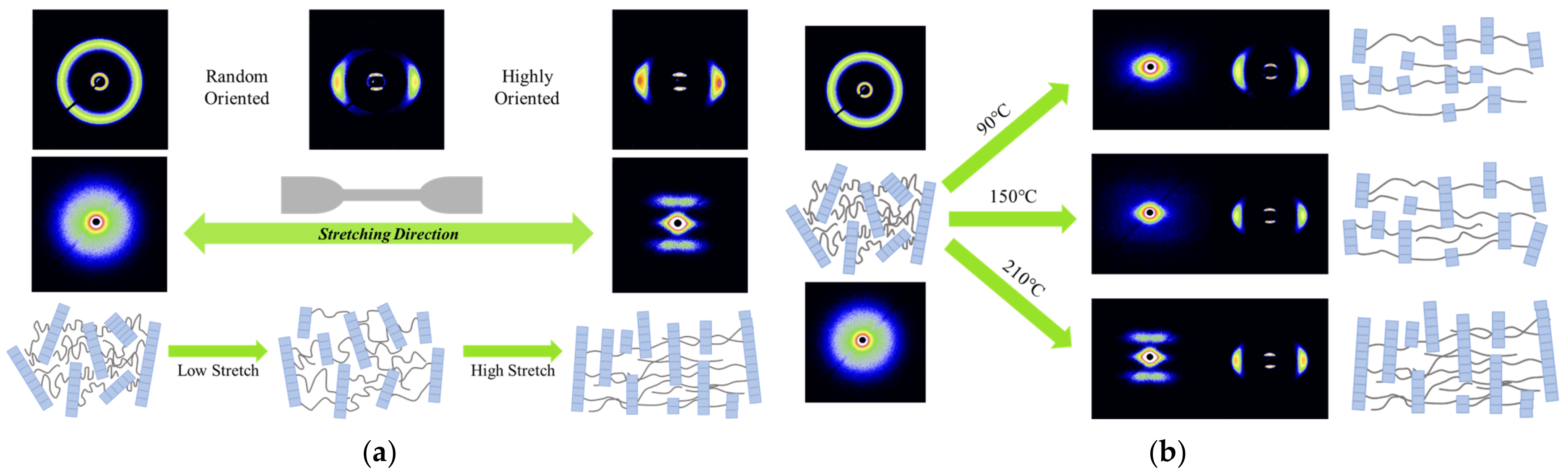 Polymers 14 04805 g009