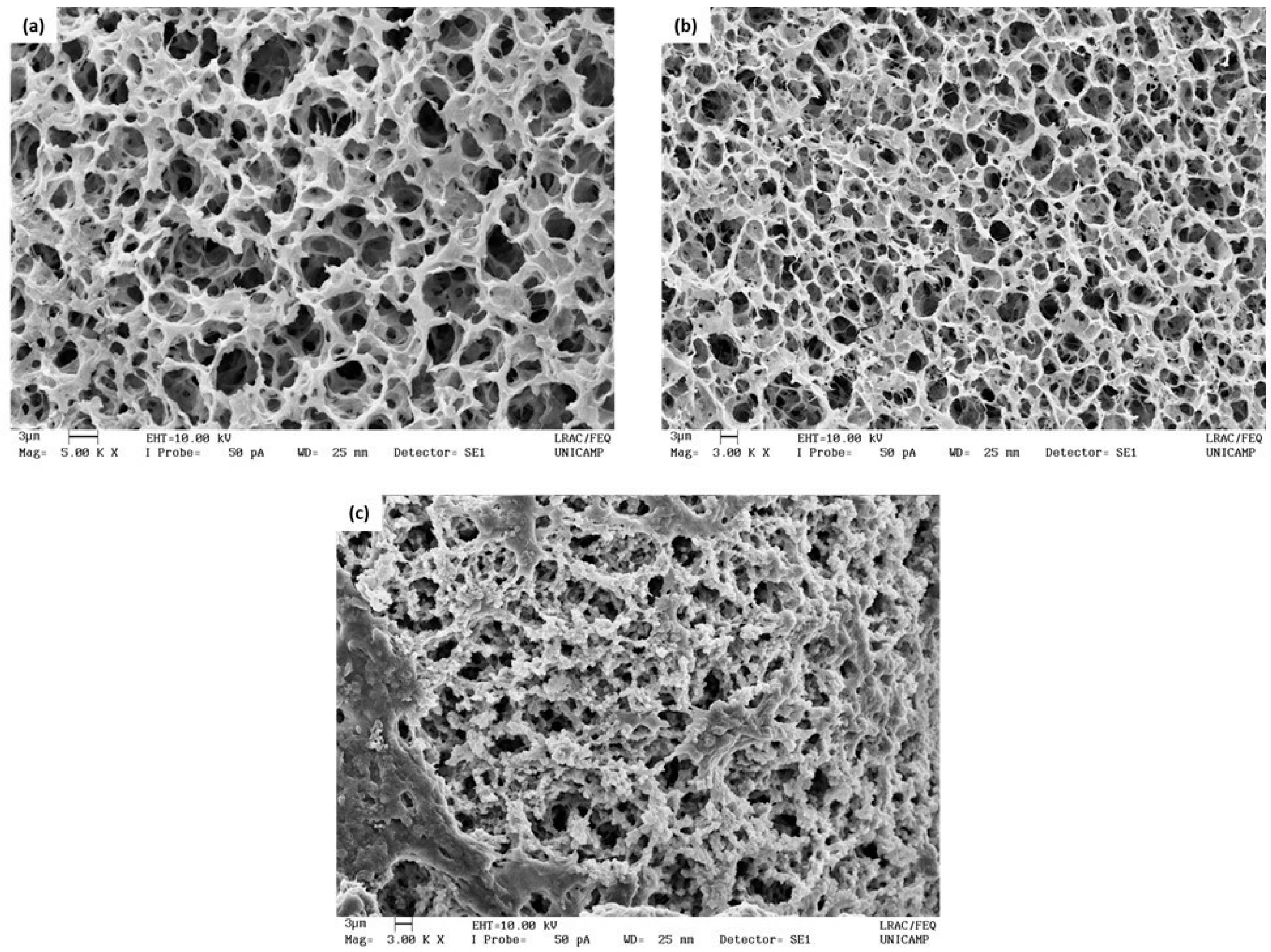 Polymers 14 04806 g003