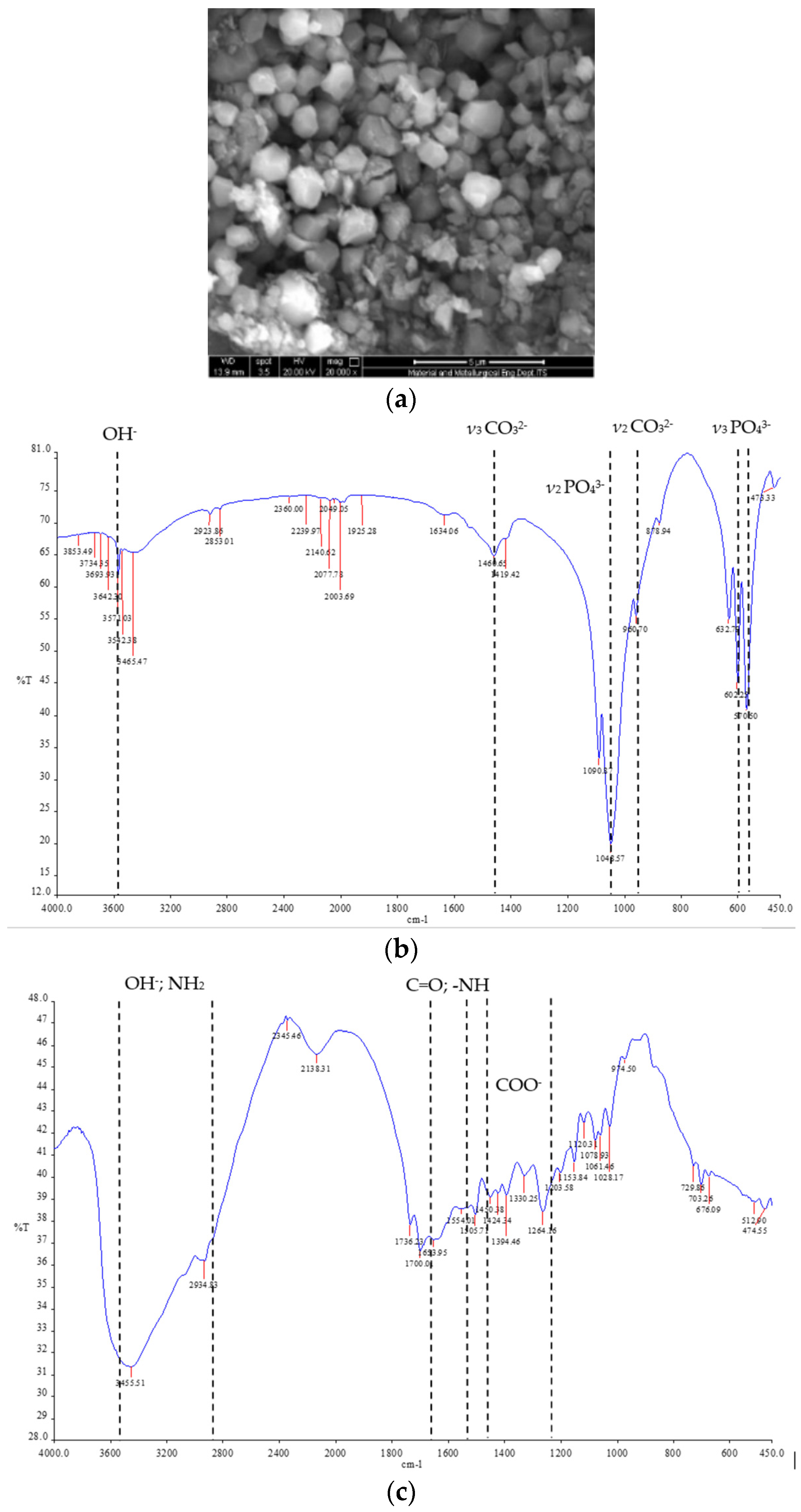 Polymers 14 04812 g001a