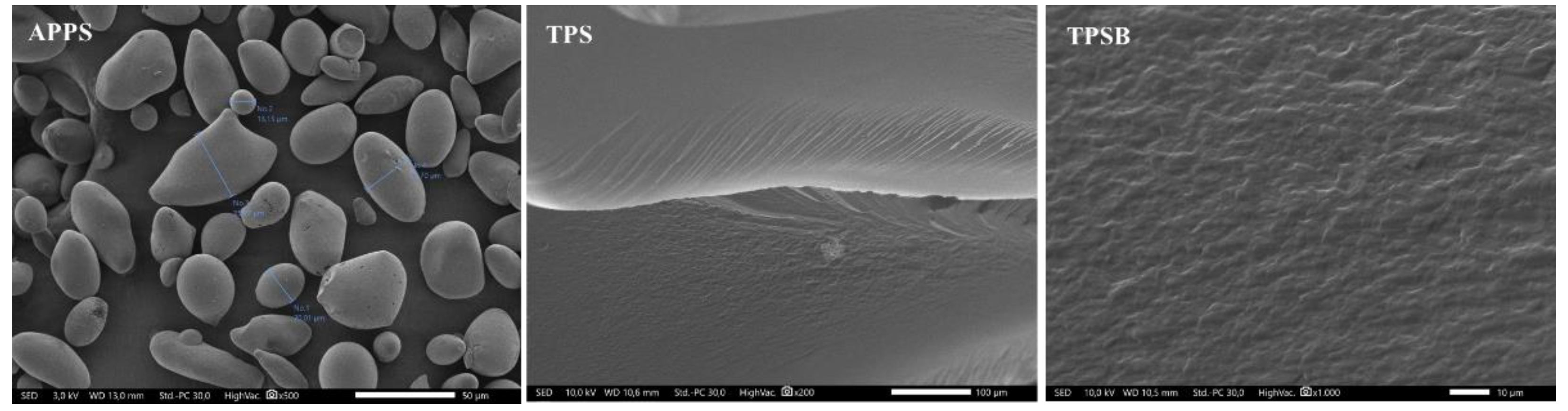 Polymers 14 04813 g003