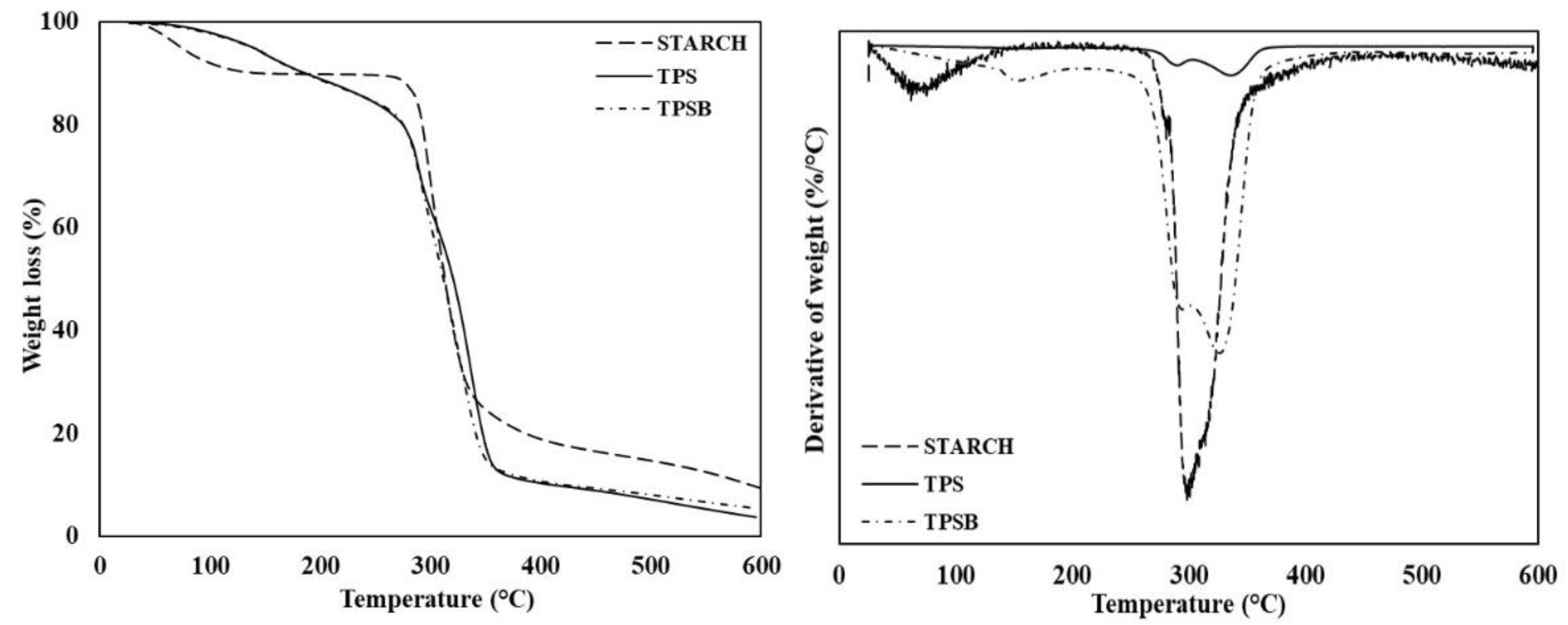 Polymers 14 04813 g008