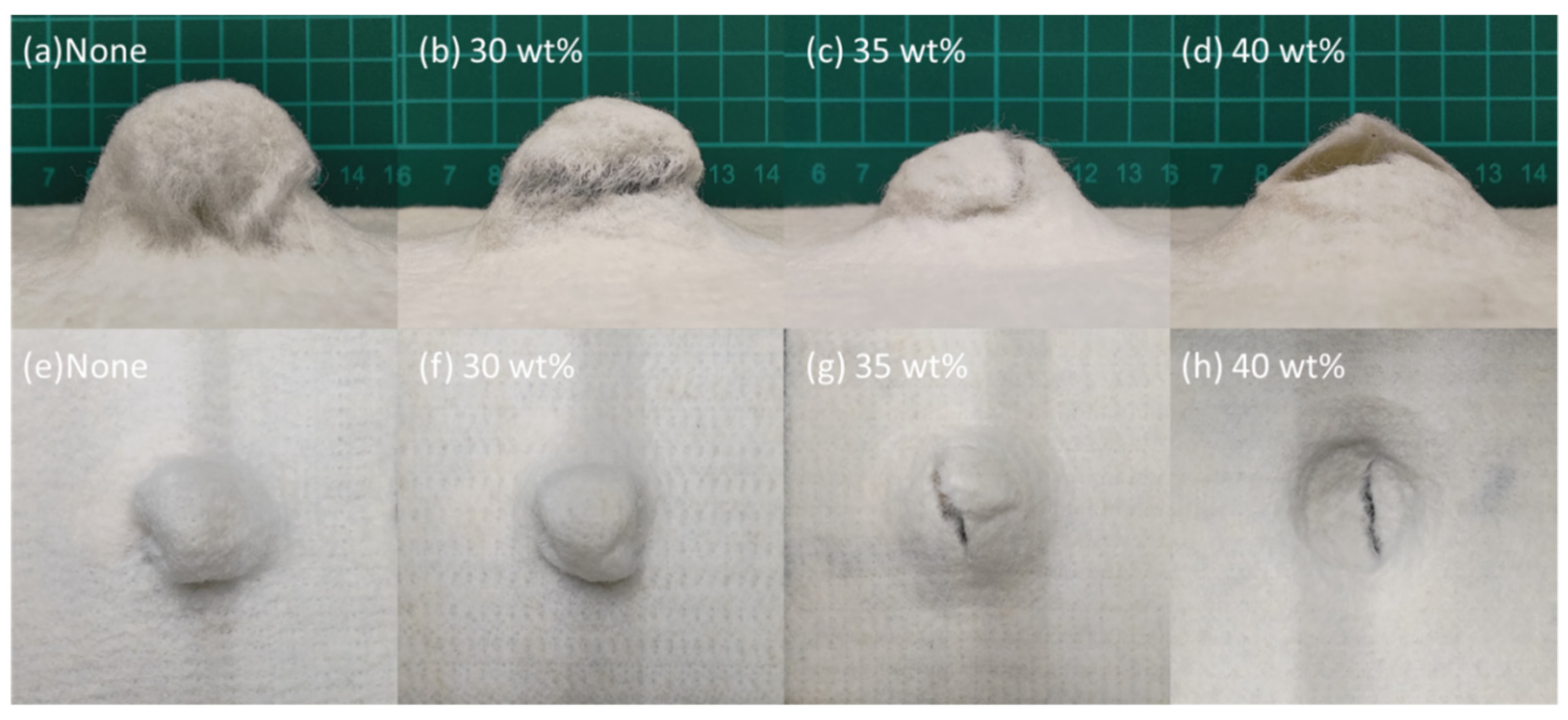 Polymers 14 04816 g009