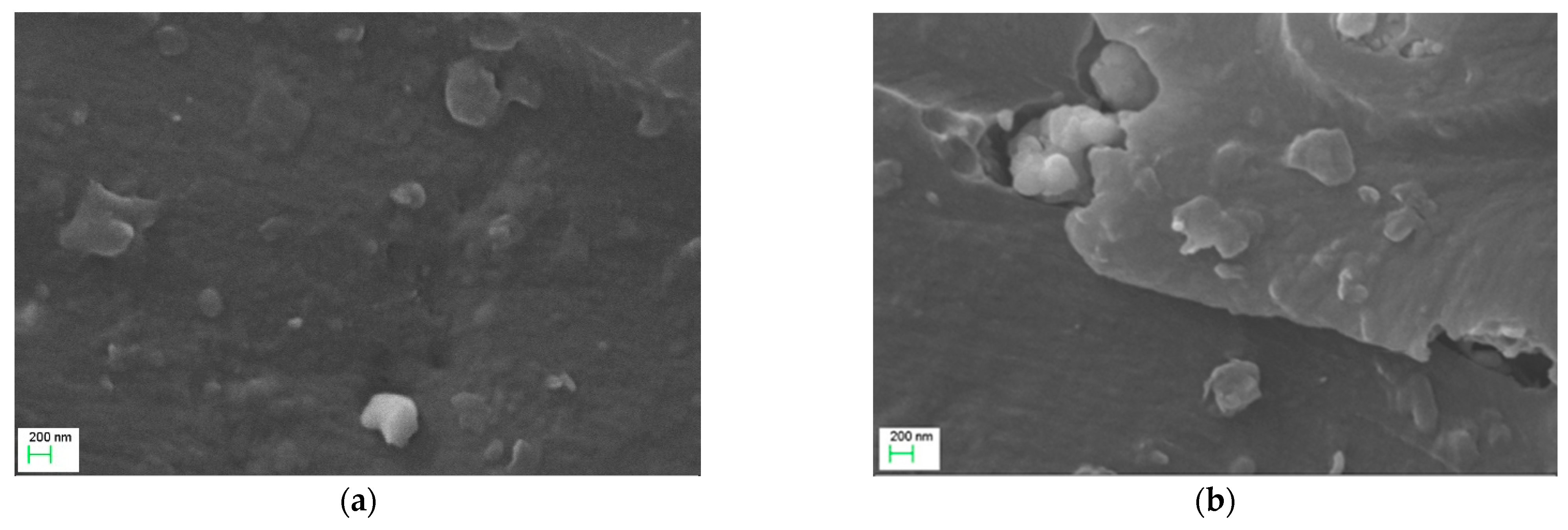 Polymers 14 04817 g001