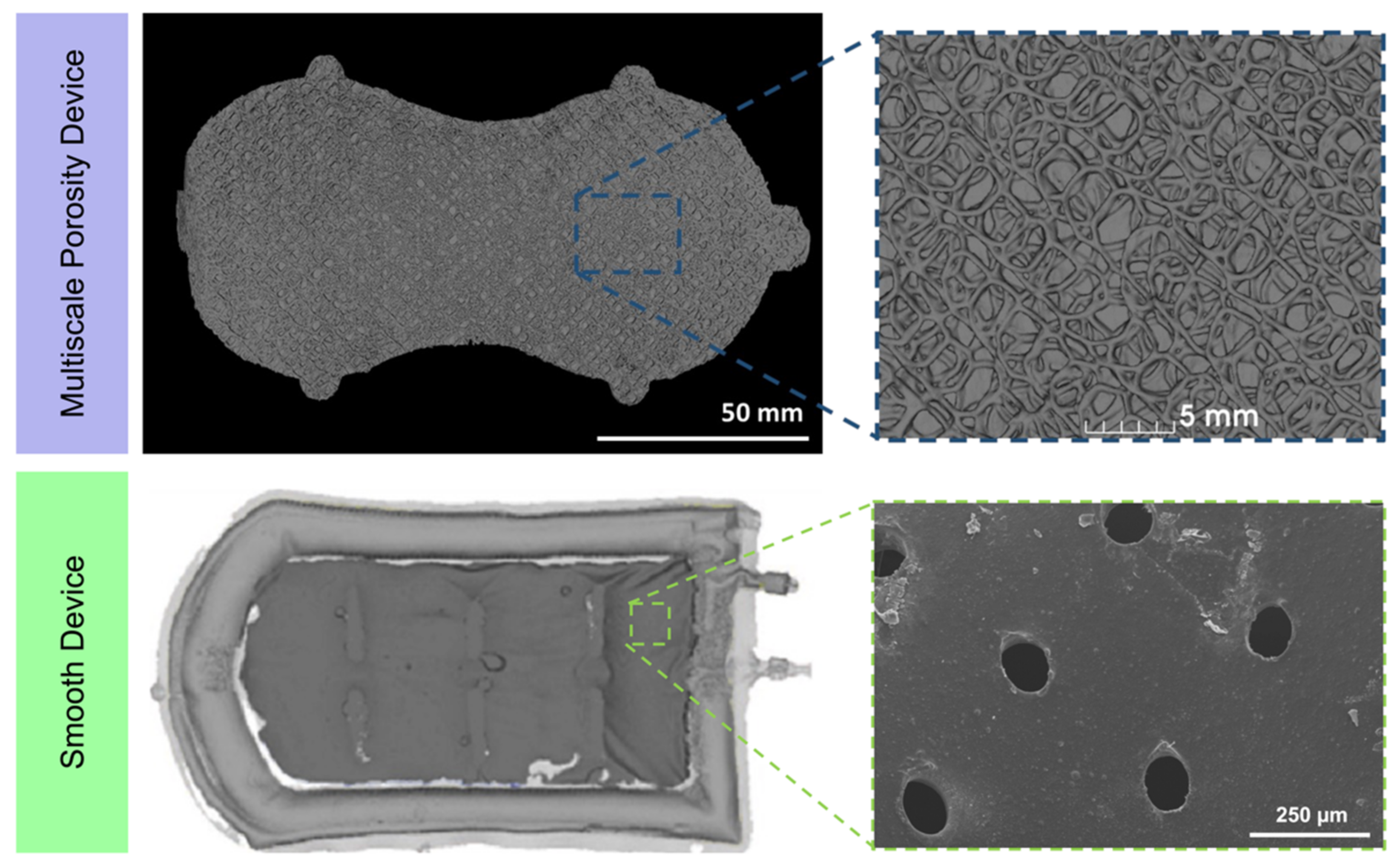 Polymers 14 04819 g001