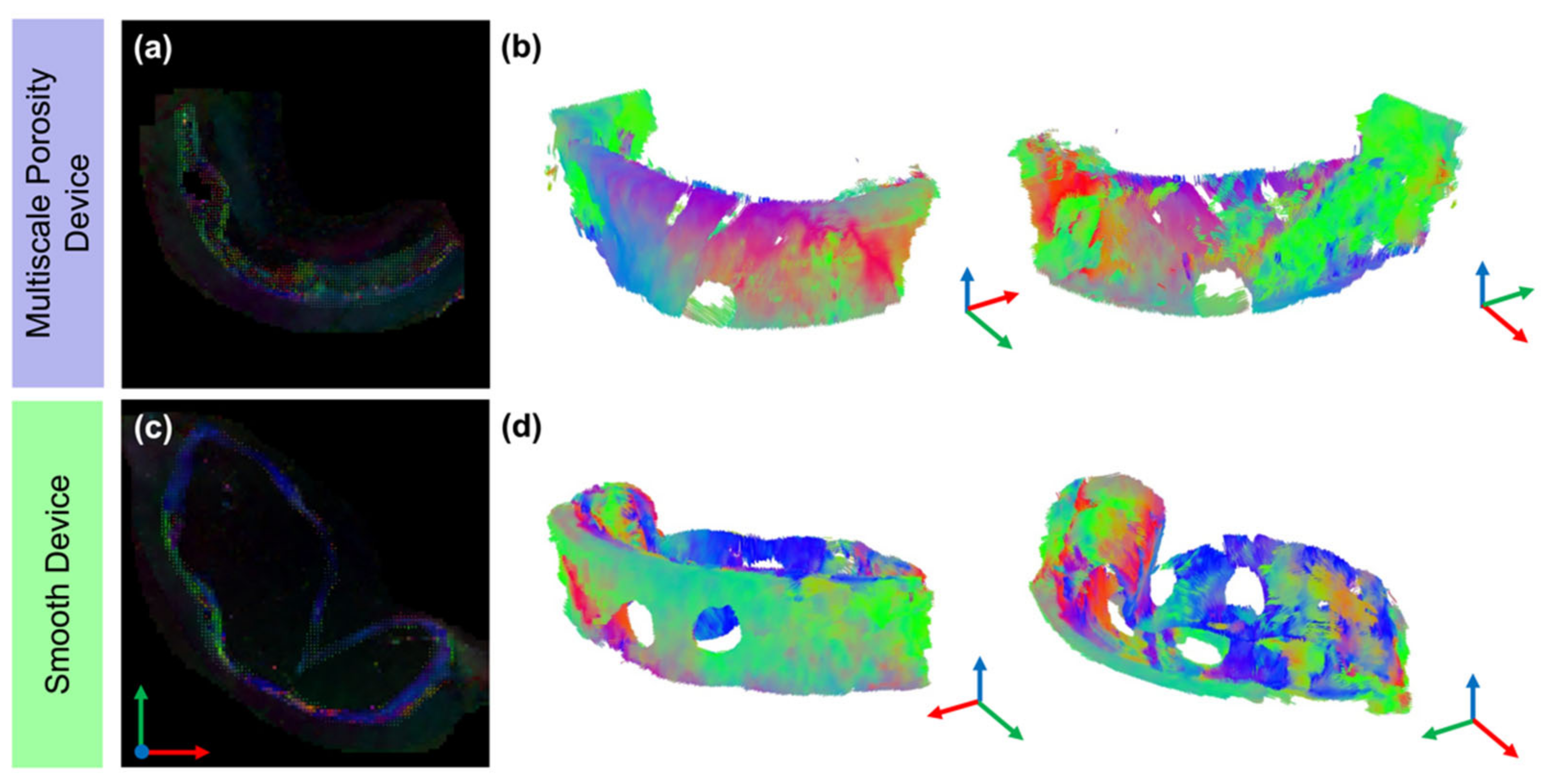 Polymers 14 04819 g004