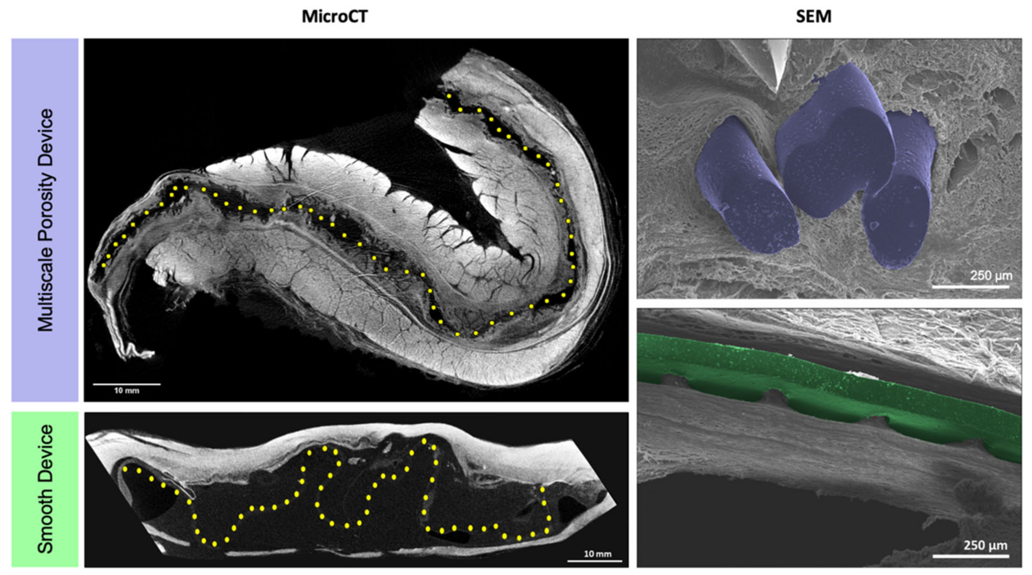 Polymers 14 04819 g005