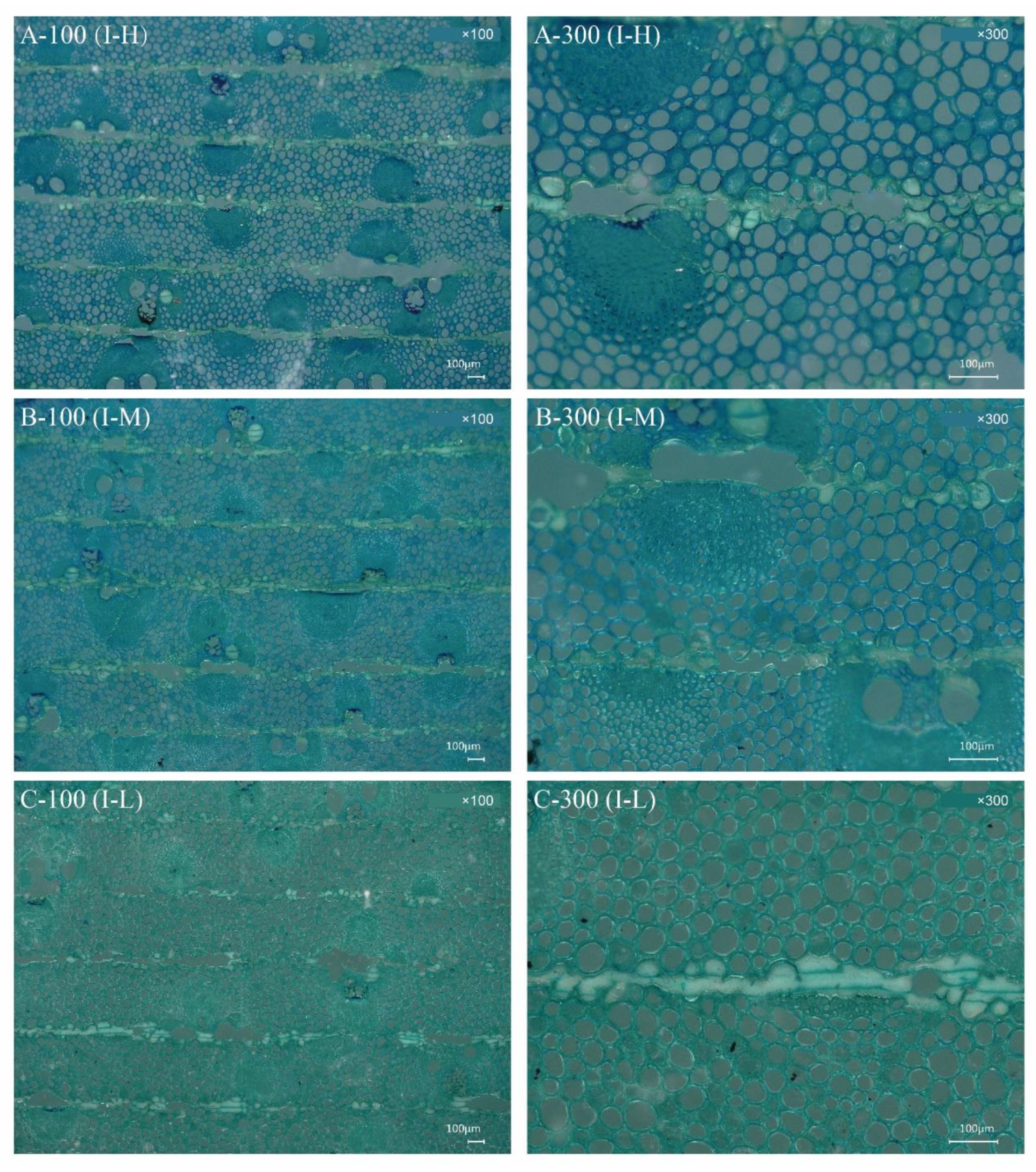Polymers 14 04820 g002
