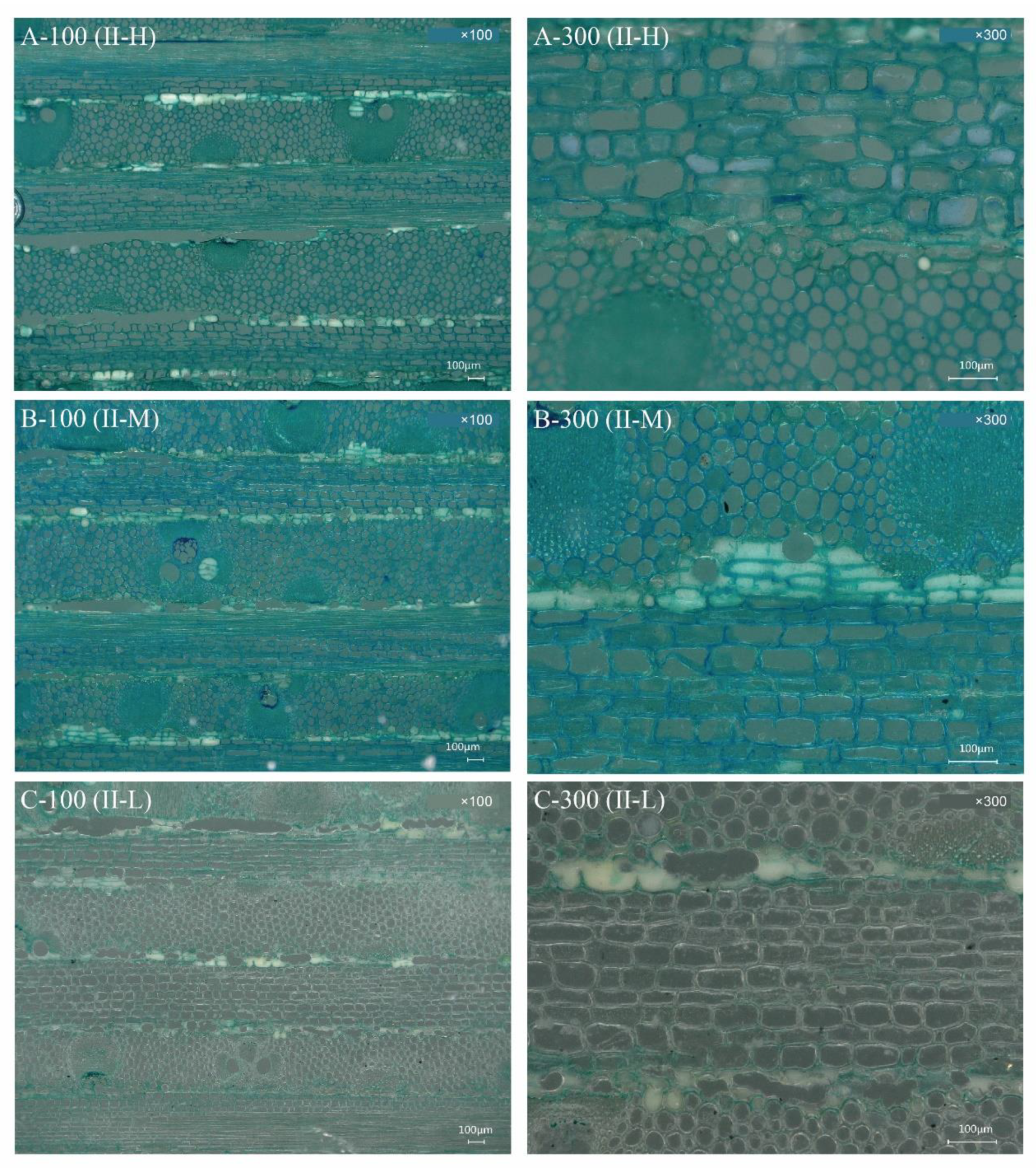 Polymers 14 04820 g003