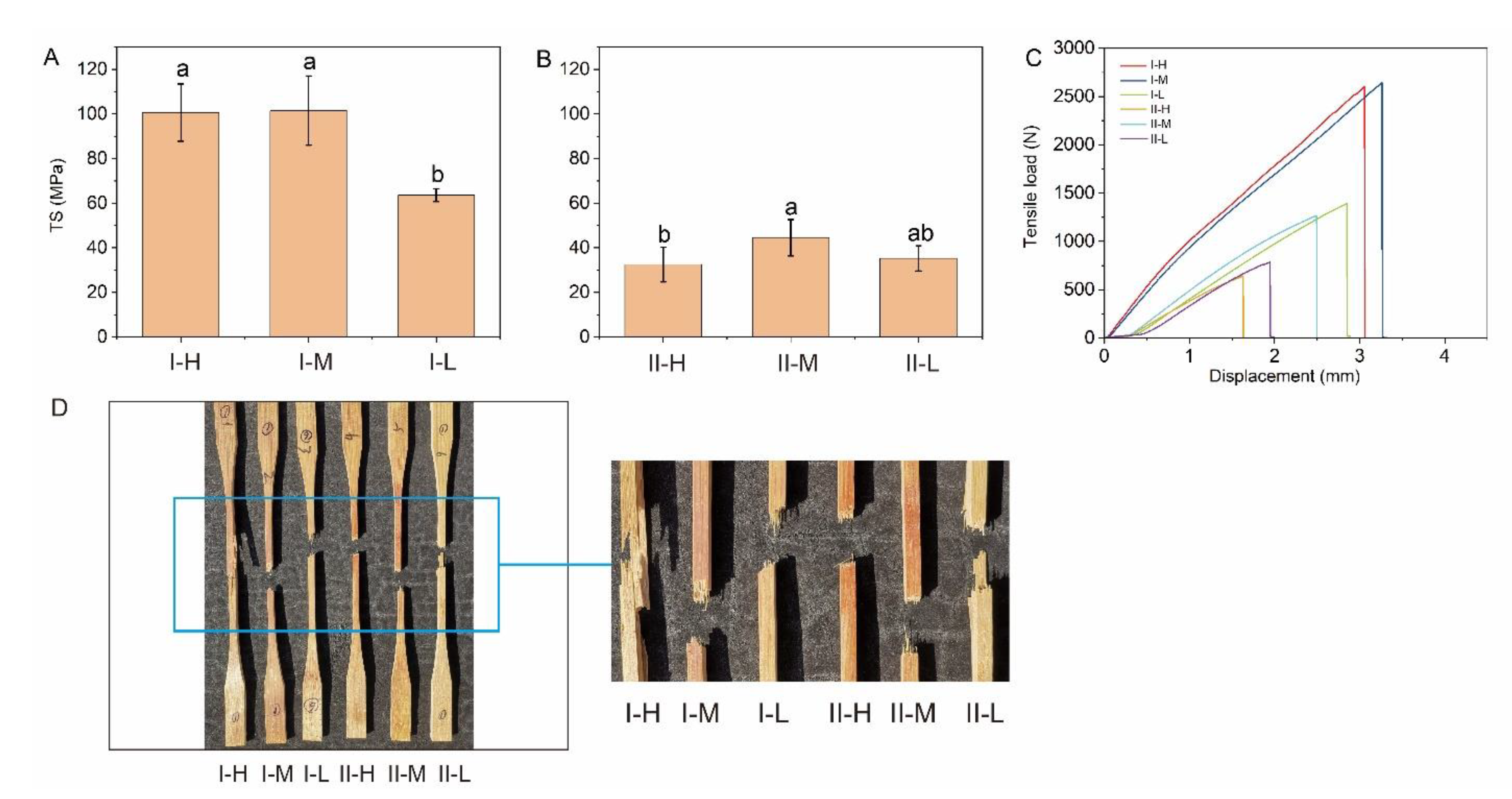 Polymers 14 04820 g006