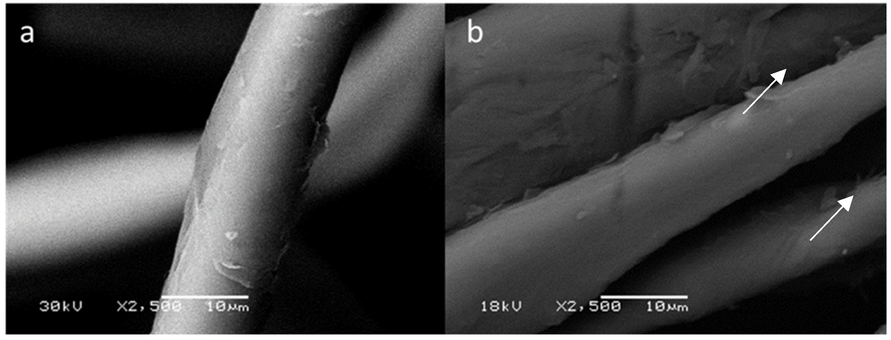 Polymers 14 04821 g002