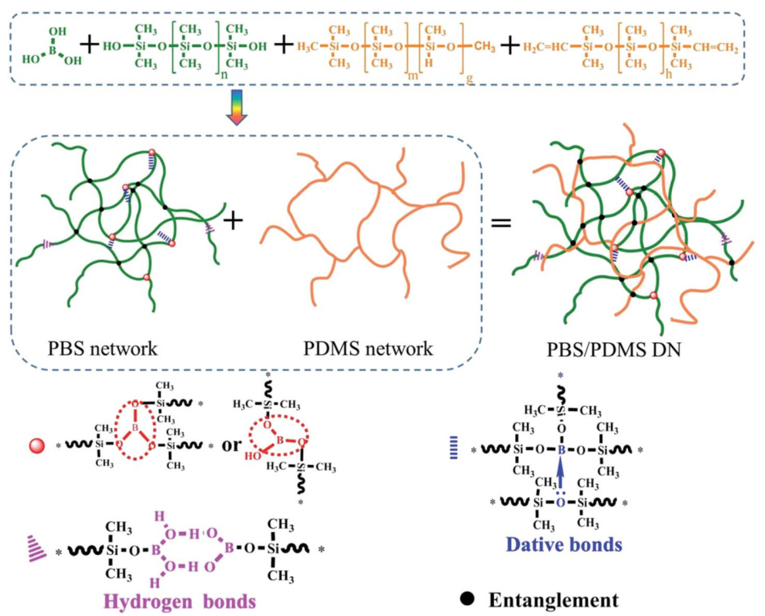 Polymers 14 04824 g003