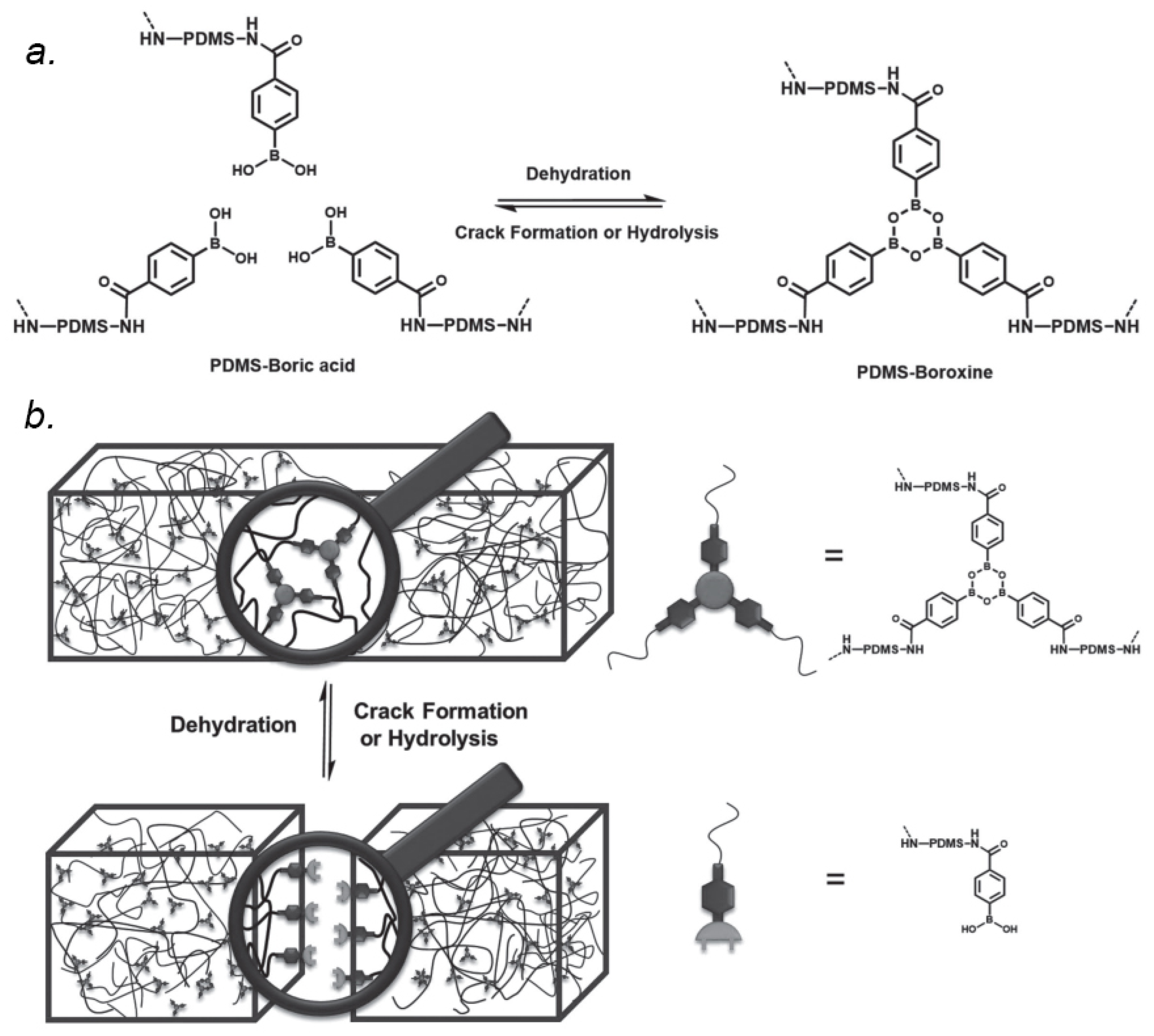 Polymers 14 04824 g008