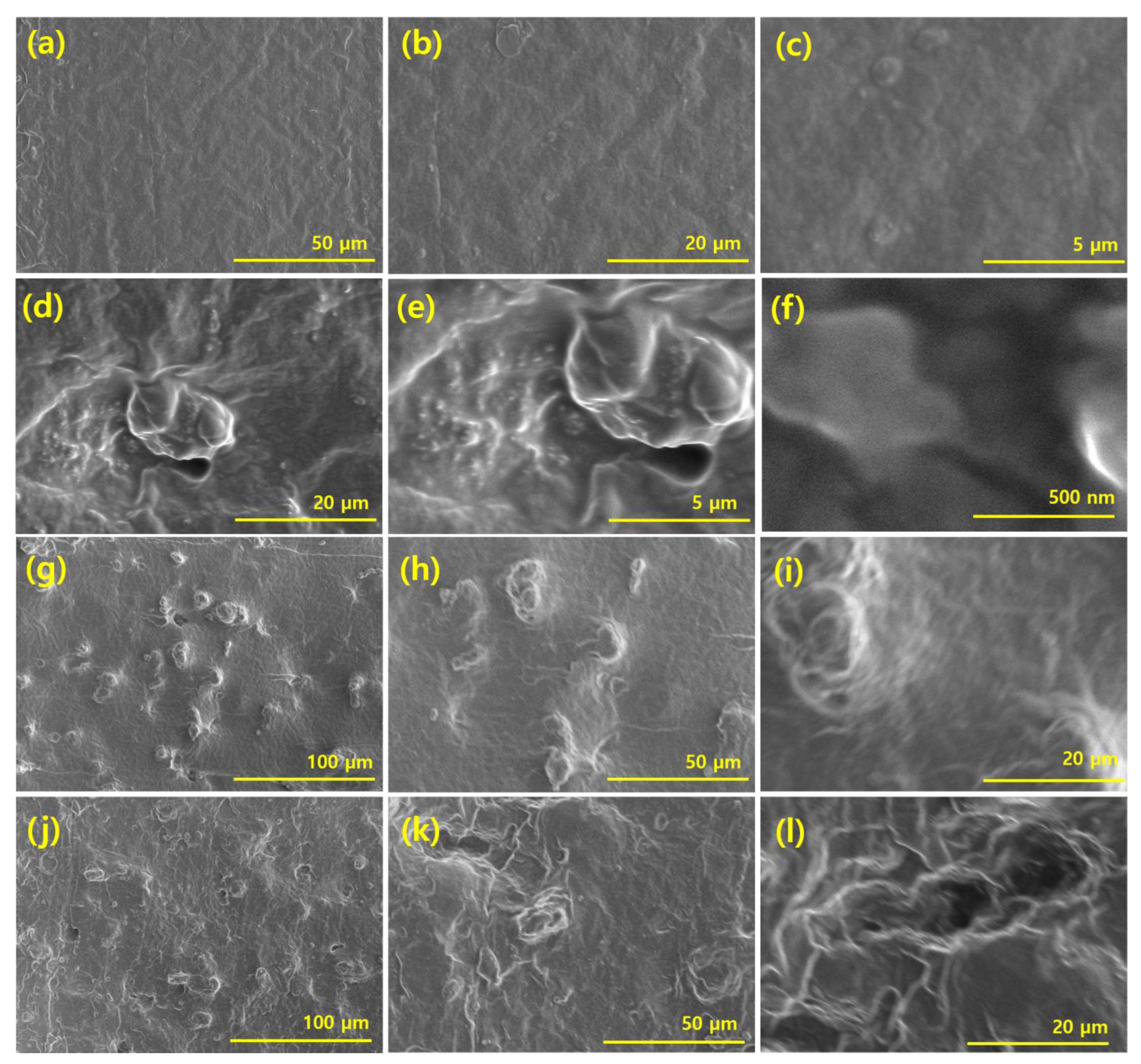 Polymers 14 04826 g002