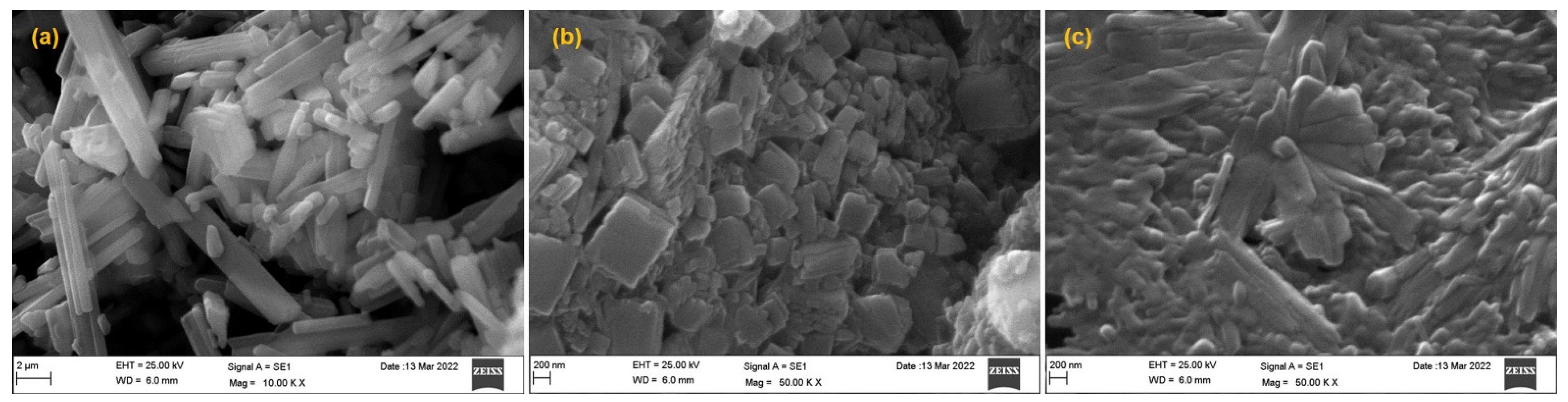 Polymers 14 04827 g002