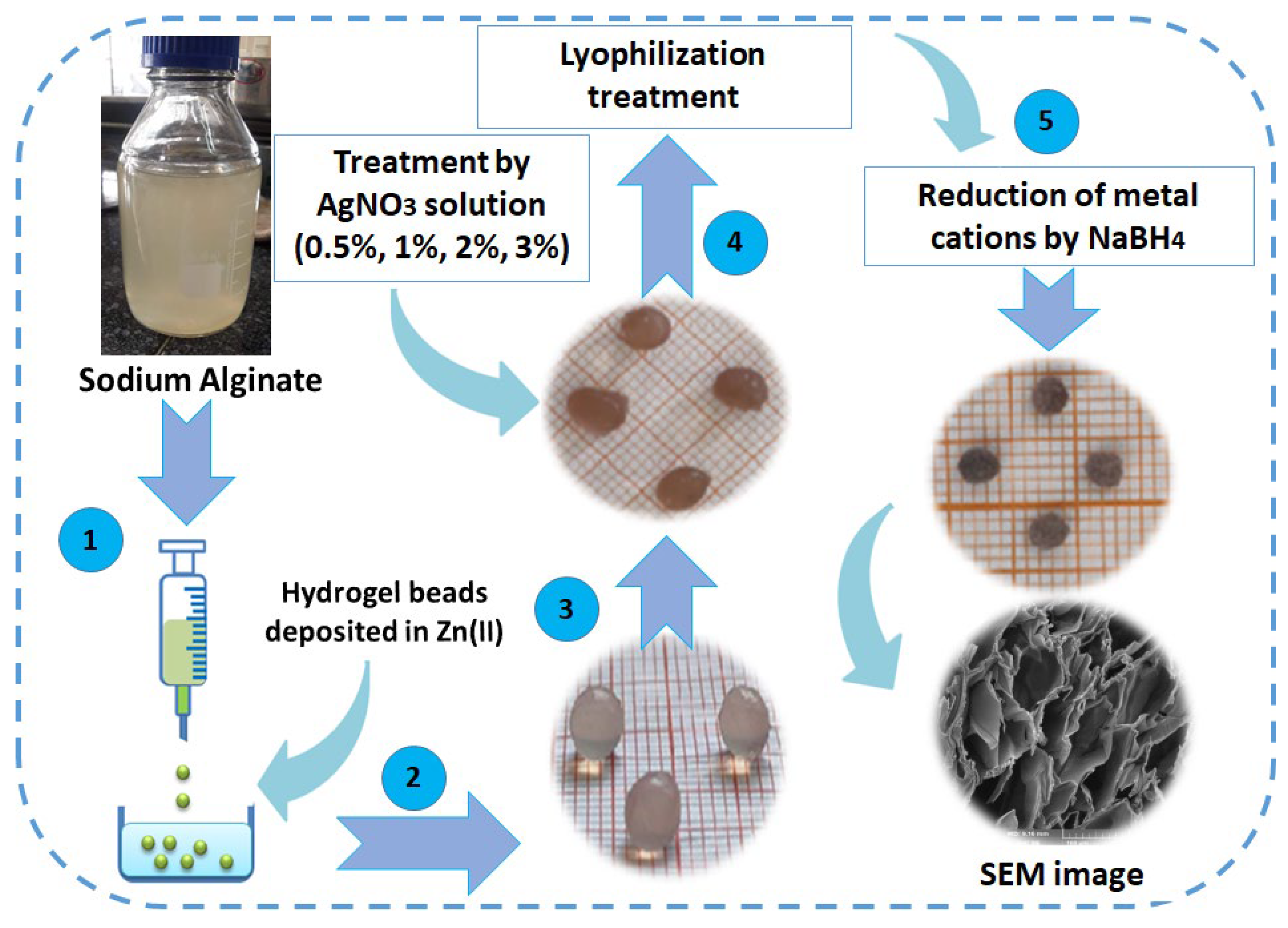 Polymers 14 04829 g001