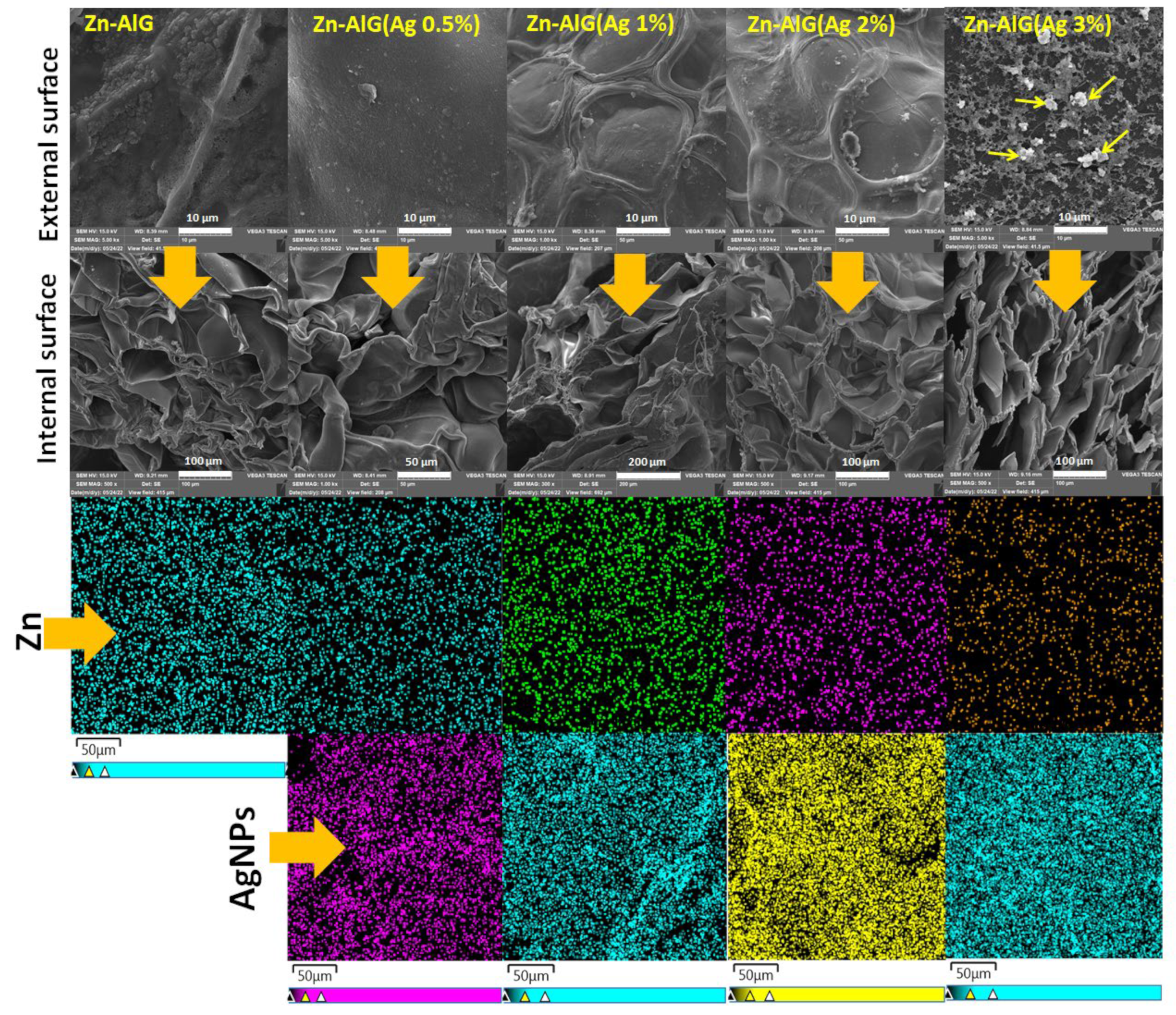 Polymers 14 04829 g005