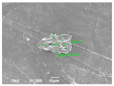Polymers 14 04830 i009