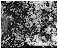 Polymers 14 04830 i010