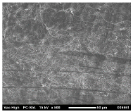 Polymers 14 04830 i012