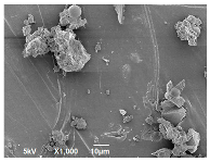 Polymers 14 04830 i013