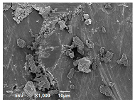 Polymers 14 04830 i014